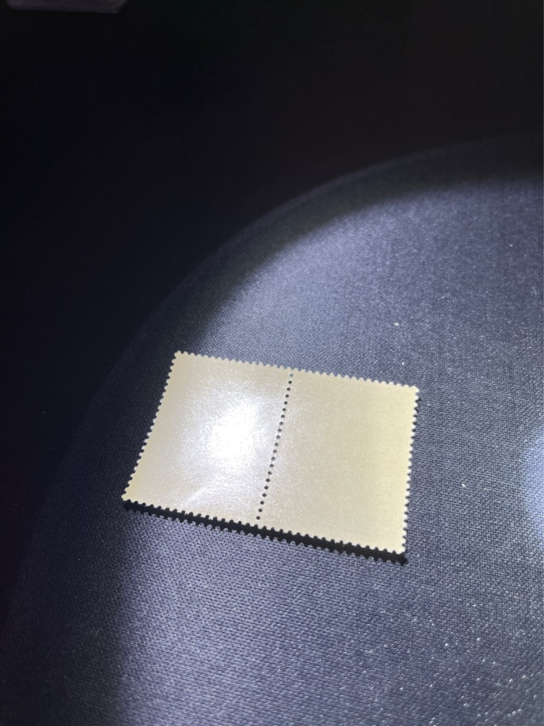 洪涛臻品 精选邮票限时拍卖第三十六期 纪92古科  8-2 盖销  2连 中间戳，完美品相，版撕全品嘎嘎绝  边纸。解放初的经典票，整版撕开，面艳胶白，票挺洁净，齿孔完美，收藏评级两相宜，且有高附加值边纸。老纪特的版票资源十分稀缺难寻，机会来临时必须抓住。存货有限，售完即撤