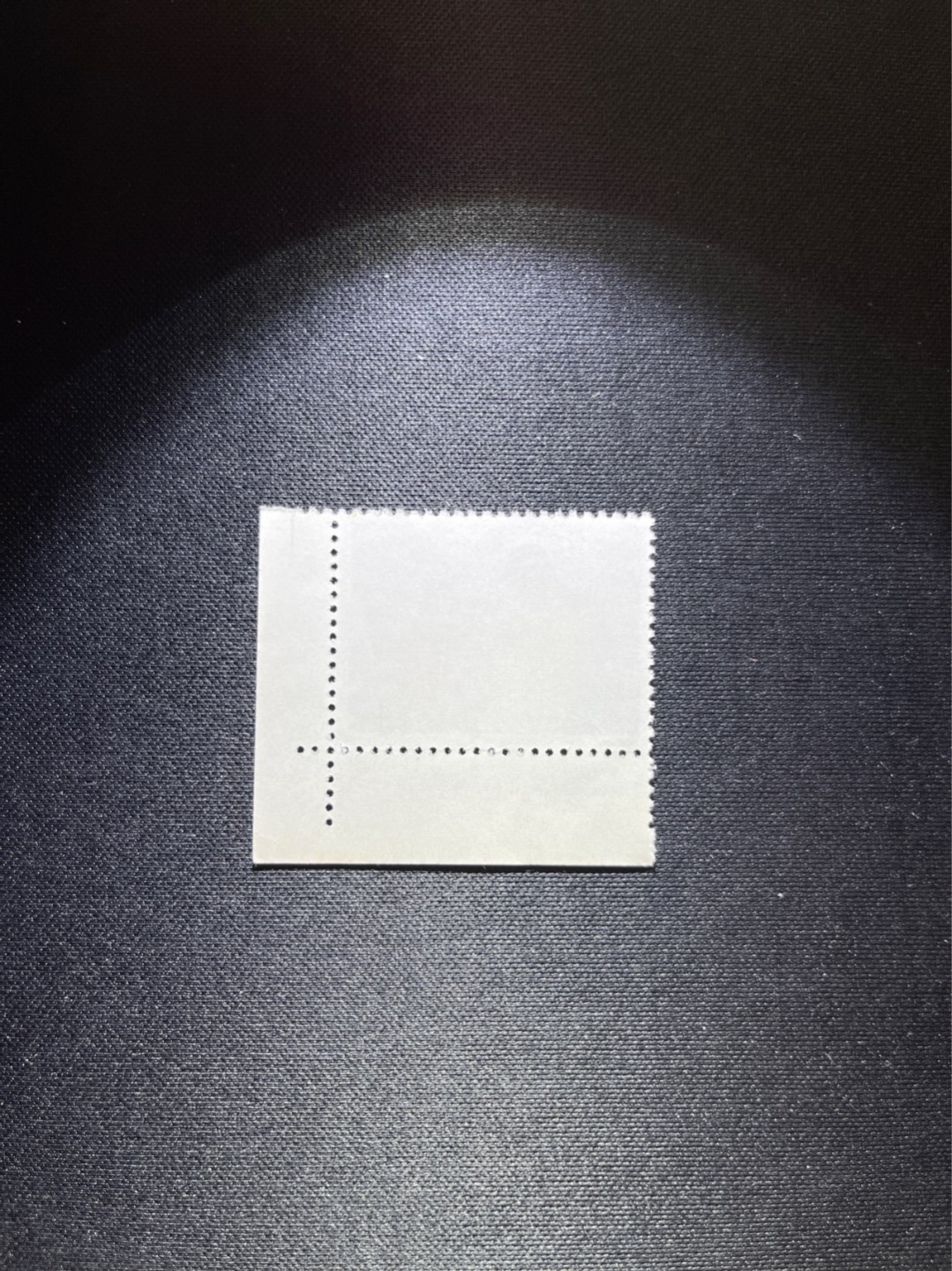 洪涛臻品 精选邮票限时拍卖第三十六期 文17  4分  1枚，右下直角边色标，全品，三俗稀缺，喜欢不要错过，全品可评级。！《ASG评级处于初级阶段，注意建仓便宜的版撕货，未来市场前景不可估量！！！！》