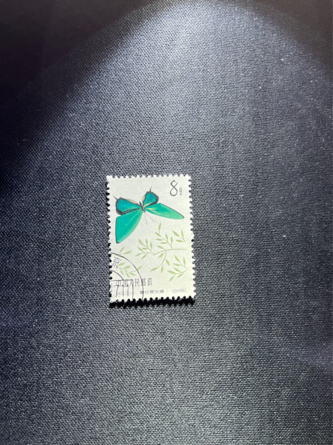 洪涛臻品 精选邮票限时拍卖第三十七期 特56蝴蝶盖销  20-10一枚，版撕全品嘎嘎绝，钢戳，面艳胶白，六珍之一，非常受欢迎的品种，新票价格高，盖销全品不要错过