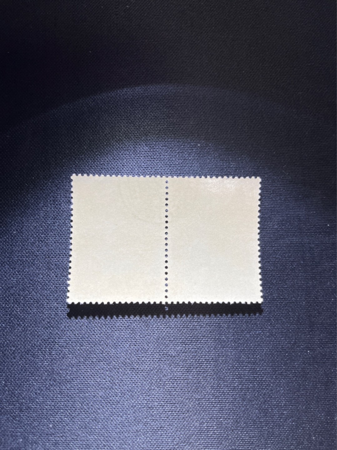 洪涛臻品 精选邮票限时拍卖第四十一期 纪92古科  8-2 盖销  2连 中间戳，完美品相，版撕全品嘎嘎绝  边纸。解放初的经典票，整版撕开，面艳胶白，票挺洁净，齿孔完美，收藏评级两相宜，且有高附加值边纸。老纪特的版票资源十分稀缺难寻，机会来临时必须抓住。存货有限，售完即撤