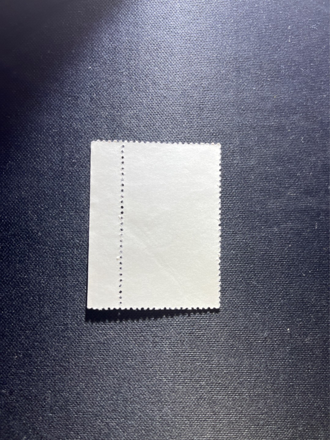 洪涛臻品 精选邮票限时拍卖第三十七期 文18卧雪8分新，筋票，带边纸，版撕票，有折痕，上品，文革精品票，注意捡漏