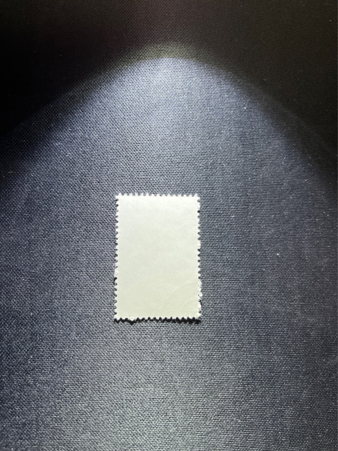 洪涛臻品 精选邮票限时拍卖第三十七期 特56蝴蝶盖销  20-11一枚，版撕全品嘎嘎绝，钢戳，面艳胶白，六珍之一，非常受欢迎的品种，新票价格高，盖销全品不要错过