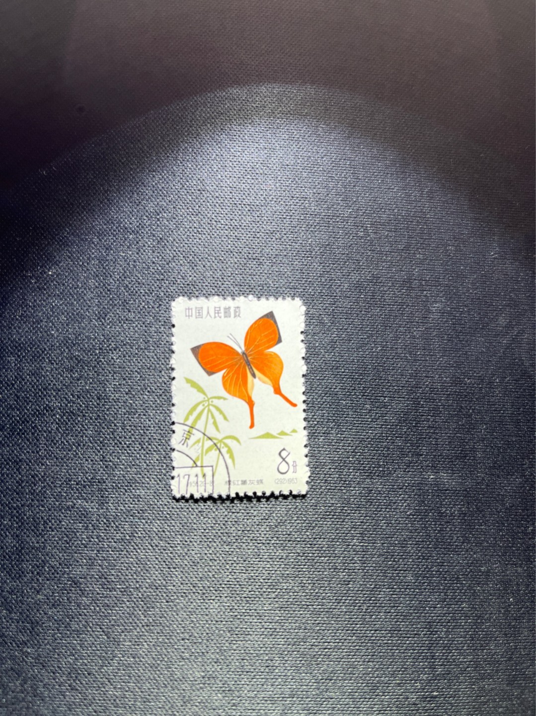 洪涛臻品 精选邮票限时拍卖第三十七期 特56蝴蝶盖销  20-8一枚，版撕全品嘎嘎绝，钢戳，面艳胶白，六珍之一，非常受欢迎的品种，新票价格高，盖销全品不要错过