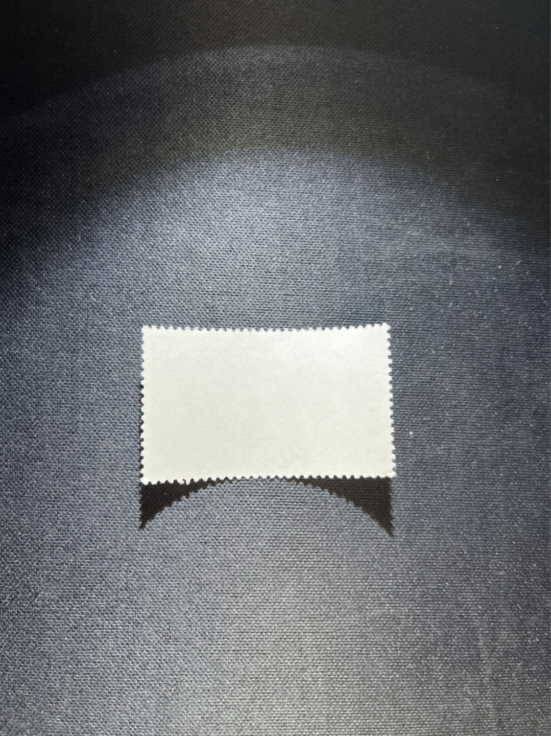洪涛臻品 精选邮票限时拍卖第三十七期 文18卧雪43分新，版撕全品一枚，文革精品票，全品可评级，喜欢不要错过
