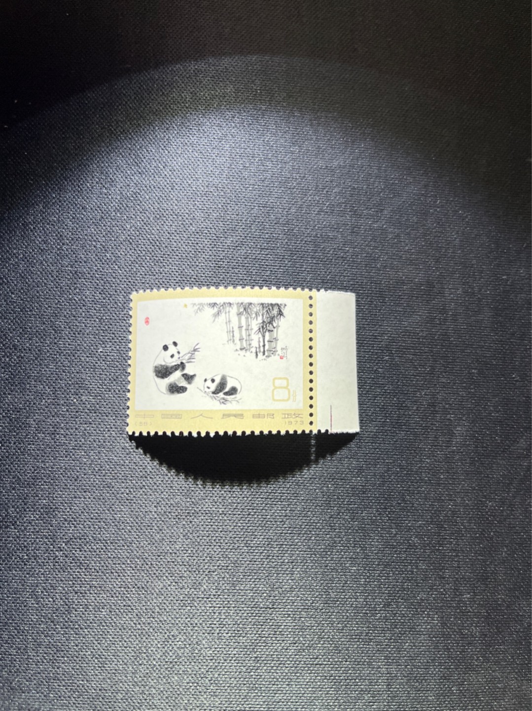 洪涛臻品 精选邮票限时拍卖第三十七期 编号熊猫N59  1枚，表面纸色线，版撕全品嘎嘎绝，齿孔非常新，完美品相，背面雪白，不是赵涌所谓的全品能比的，所有拍品包过灯，全品可评级，注意捡漏。《ASG评级处于初级阶段，趁便宜囤精品版撕票，后市不可估量》