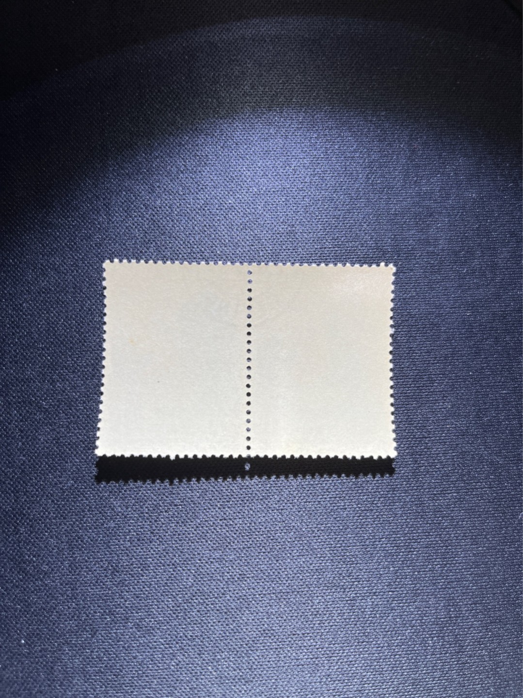 洪涛臻品 精选邮票限时拍卖第六十一期 纪92古科  8-4 盖销  2连，中间戳，完美品相。版撕全品嘎嘎绝 。解放初的经典票，整版撕开，面艳胶白，票挺洁净，齿孔完美。老纪特的版票资源十分稀缺难寻，机会来临时必须抓住，存货有限，售完即撤（近期成交价见尾图 ）
