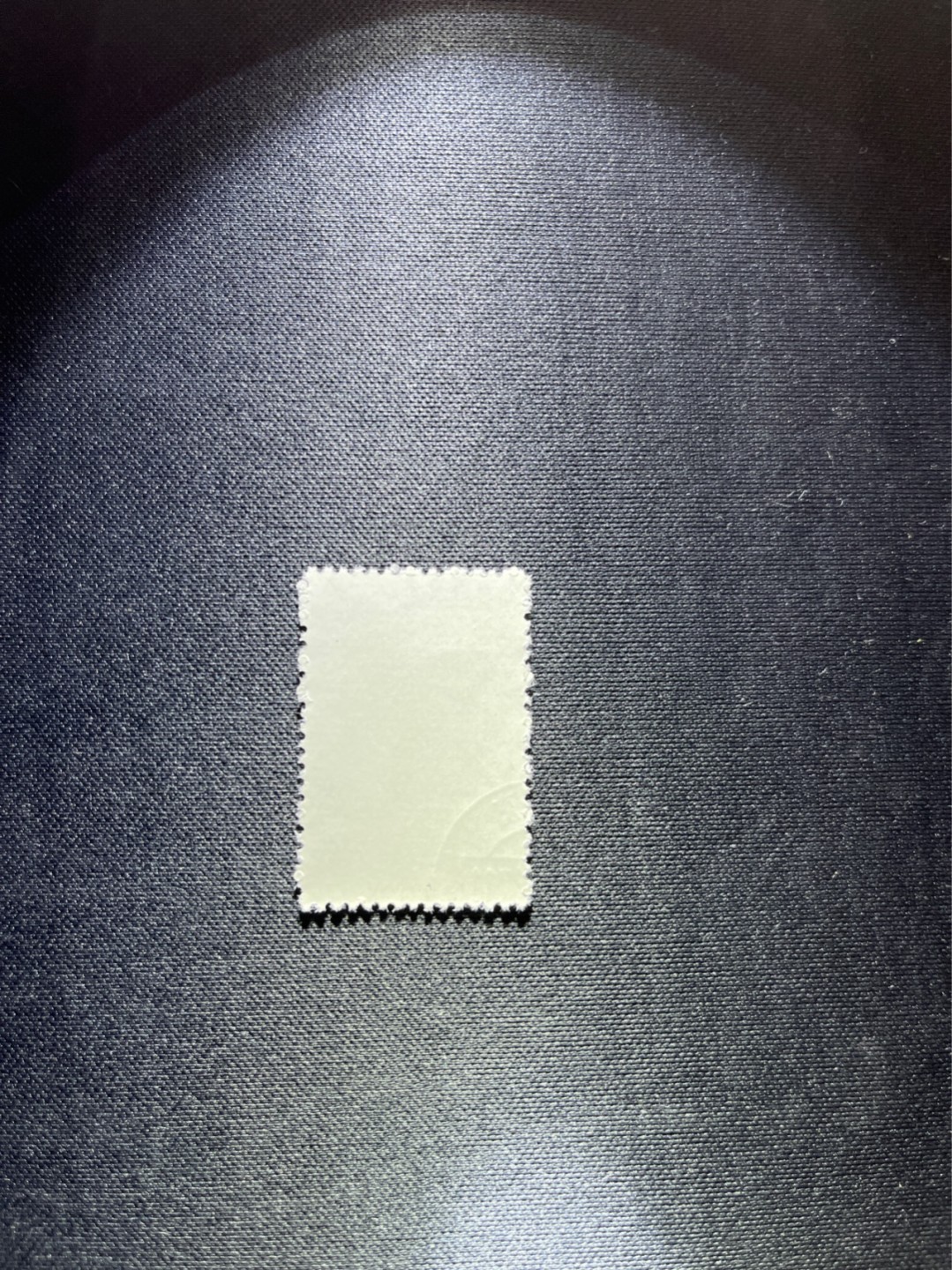 洪涛臻品 精选邮票限时拍卖第三十七期 特56蝴蝶盖销  20-8一枚，版撕全品嘎嘎绝，钢戳，面艳胶白，六珍之一，非常受欢迎的品种，新票价格高，盖销全品不要错过