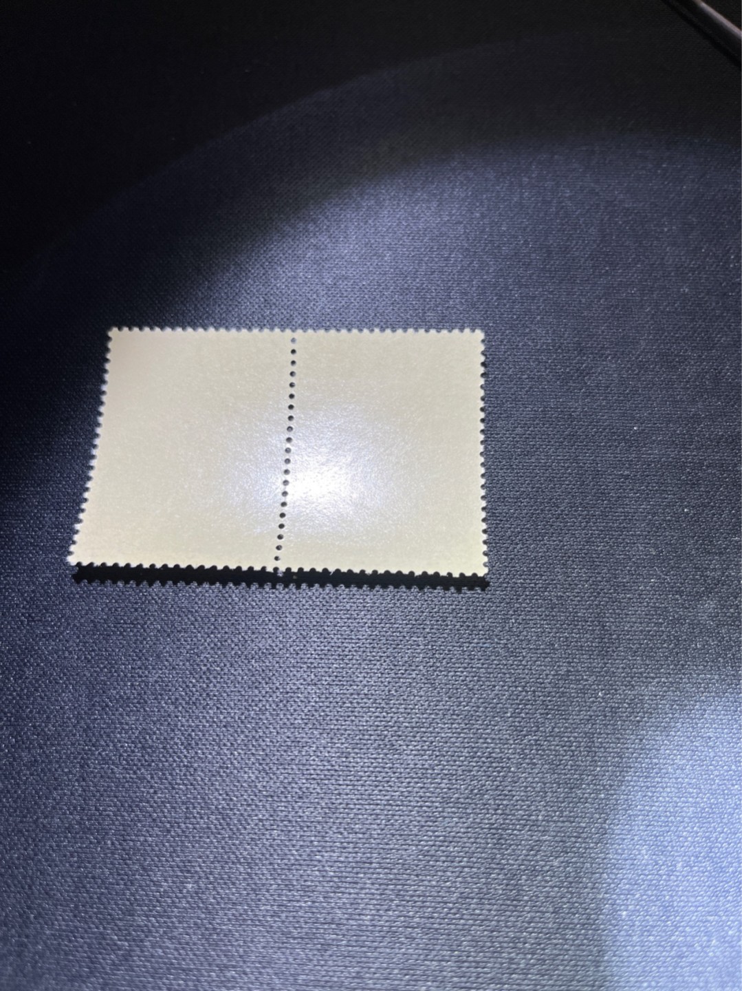 洪涛臻品 精选邮票限时拍卖第四十一期 纪92古科  8-2 盖销  2连 中间戳，完美品相，版撕全品嘎嘎绝  边纸。解放初的经典票，整版撕开，面艳胶白，票挺洁净，齿孔完美，收藏评级两相宜，且有高附加值边纸。老纪特的版票资源十分稀缺难寻，机会来临时必须抓住。存货有限，售完即撤