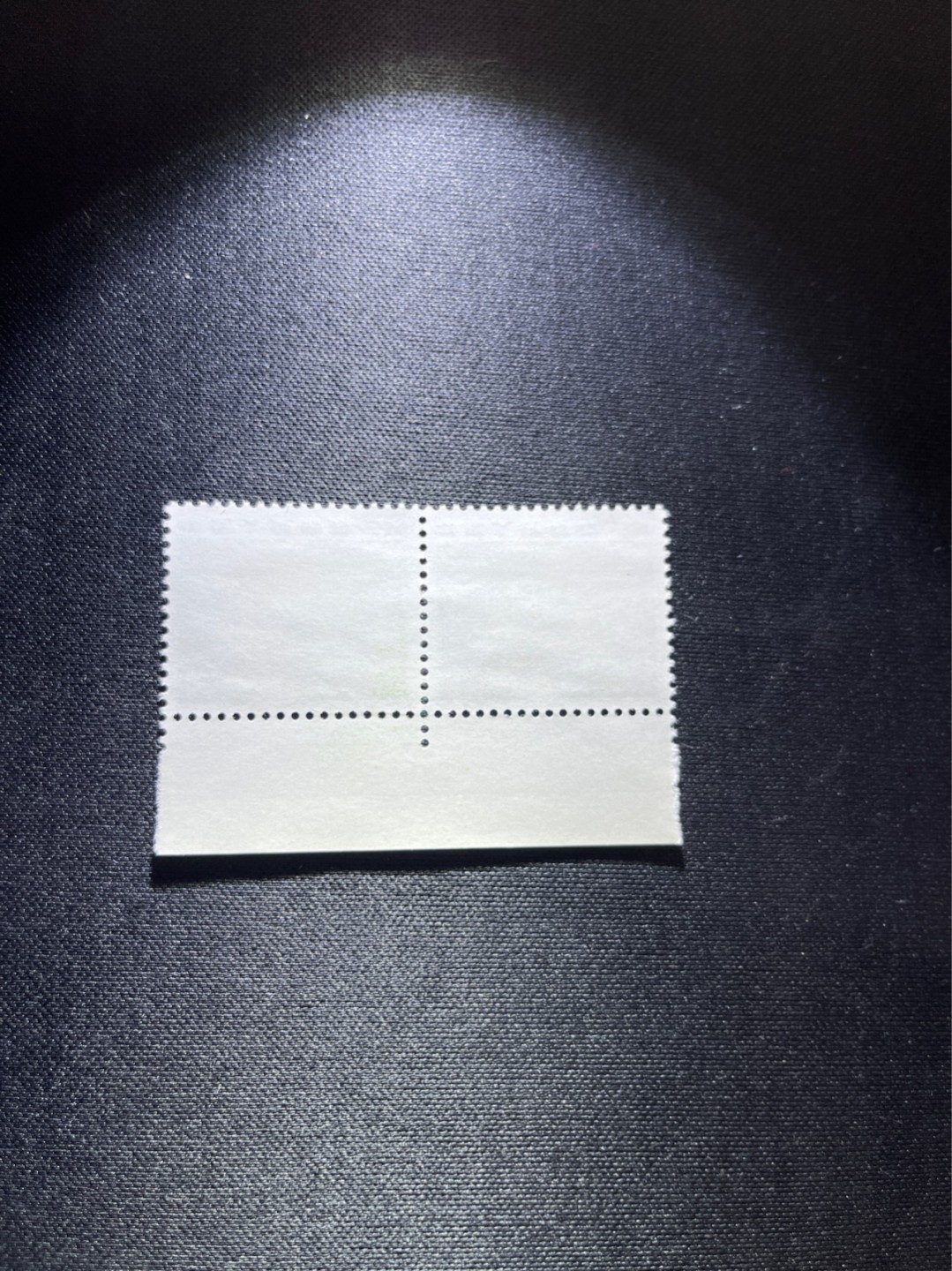 洪涛臻品 精选邮票限时拍卖第四十一期 普无号 50分枣园新 双连 数字边一组，版撕全品嘎嘎绝，老纪特三俗稀缺，注意捡漏