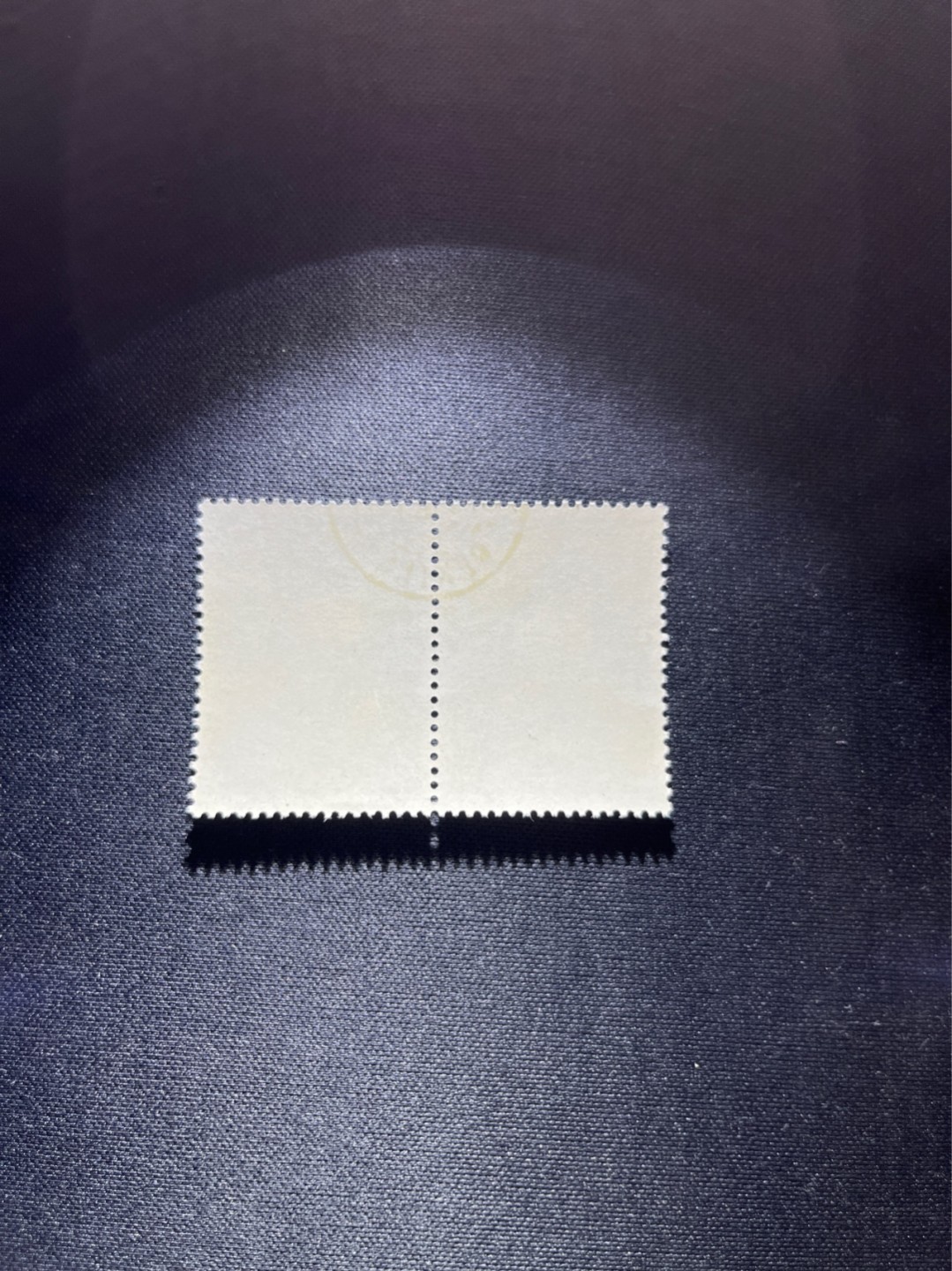 洪涛臻品 精选邮票限时拍卖第三十九期 纪92古科  8-3 盖销  2连  中间戳，完美品相，版撕全品嘎嘎绝。解放初的经典票，整版撕开，面艳胶白，票挺洁净，齿孔完美，收藏评级两相宜。老纪特的版票资源十分稀缺难寻，机会来临时必须抓住。