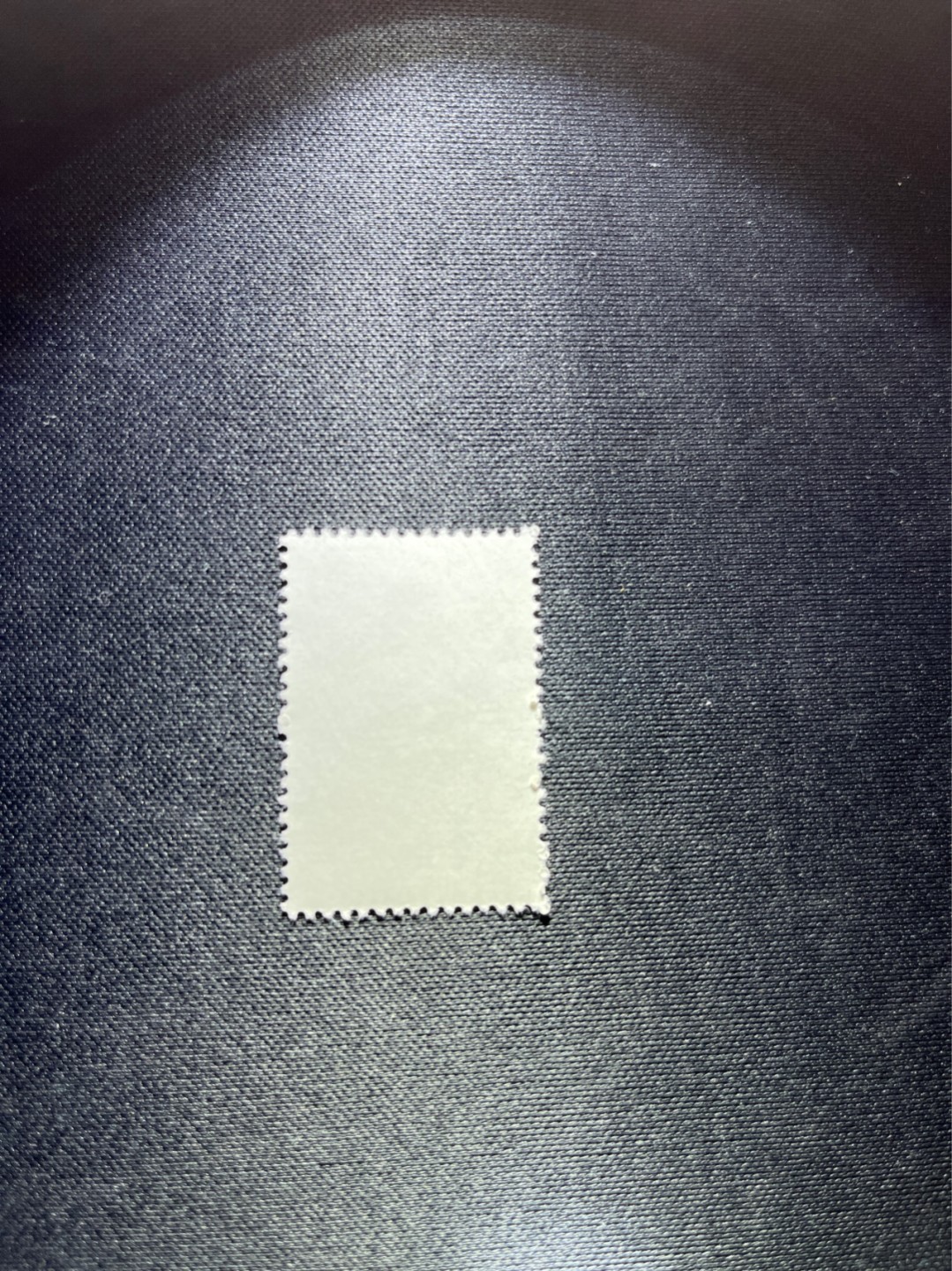 洪涛臻品 精选邮票限时拍卖第三十七期 特56蝴蝶盖销  20-10一枚，版撕全品嘎嘎绝，钢戳，面艳胶白，六珍之一，非常受欢迎的品种，新票价格高，盖销全品不要错过