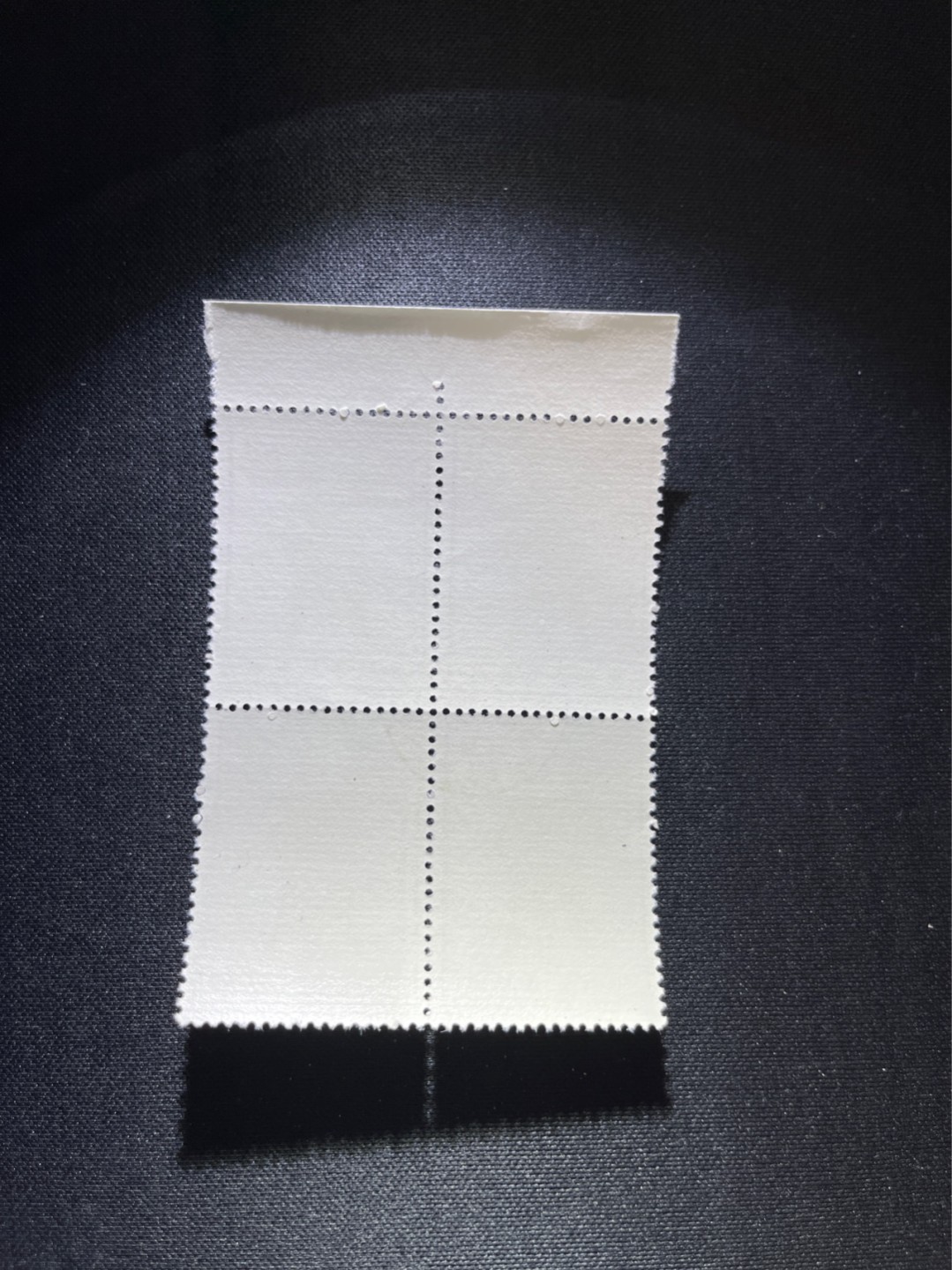 洪涛臻品 精选邮票限时拍卖第六十六期 特63青铜器8-4盖销  厂名4方连★中心戳，非常漂亮★数量有限，随时售缺，版撕全品嘎嘎绝。  解放初的经典票，整版撕开，面艳胶白，票挺洁净，齿孔完美，收藏评级两相宜，且有高附加值边纸。老纪特的版票资源十分稀缺难寻，机会来临时必须抓住。