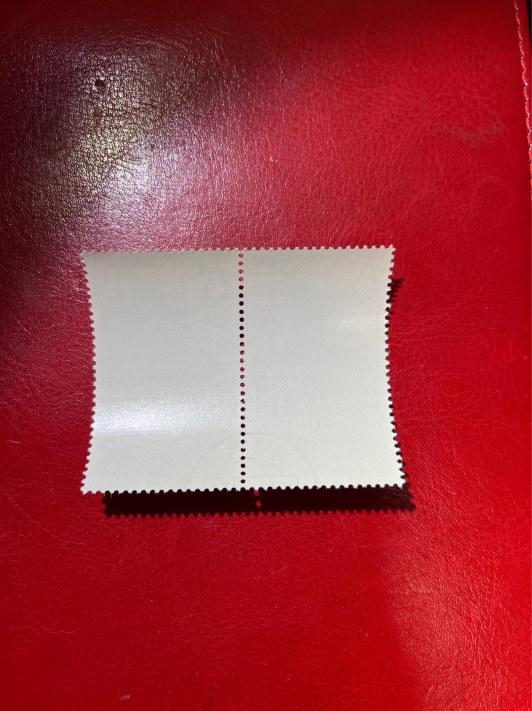 洪涛臻品 精选邮票限时拍卖第六十九期 特68新安江4-2盖销  2连，中间戳，★品相可以用完美来形容，钢戳比手戳贵不少，版撕全品嘎嘎绝 背胶雪白。解放初的经典票，整版撕开，面艳胶白，票挺洁净，齿孔完美。老纪特的版票资源十分稀缺难寻，机会来临时必须抓住。