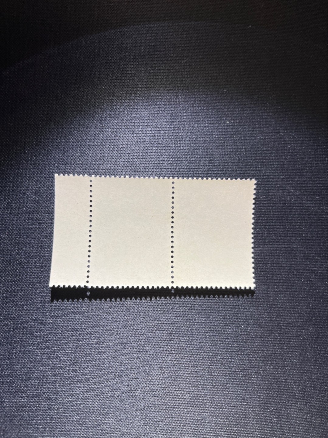 洪涛臻品 精选邮票限时拍卖第三十八期 纪92古科  8-2 盖销  2连 中间戳，完美品相，版撕全品嘎嘎绝  边纸。解放初的经典票，整版撕开，面艳胶白，票挺洁净，齿孔完美，收藏评级两相宜，且有高附加值边纸。老纪特的版票资源十分稀缺难寻，机会来临时必须抓住。存货有限，售完即撤