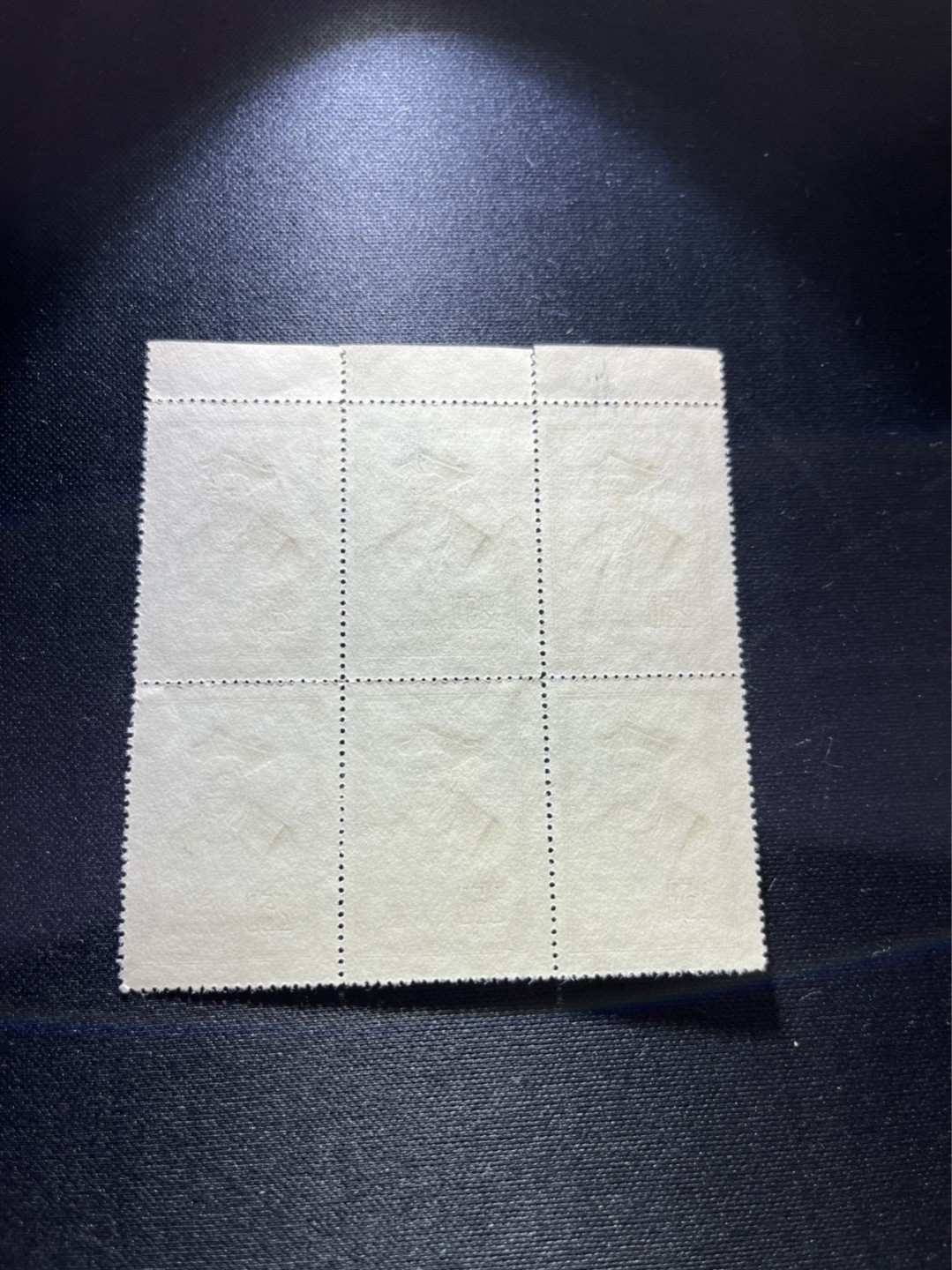 洪涛臻品 精选邮票限时拍卖第三十八期 纪25世界名人4-3，版撕6连，现撕。全品，边纸处齿孔裂