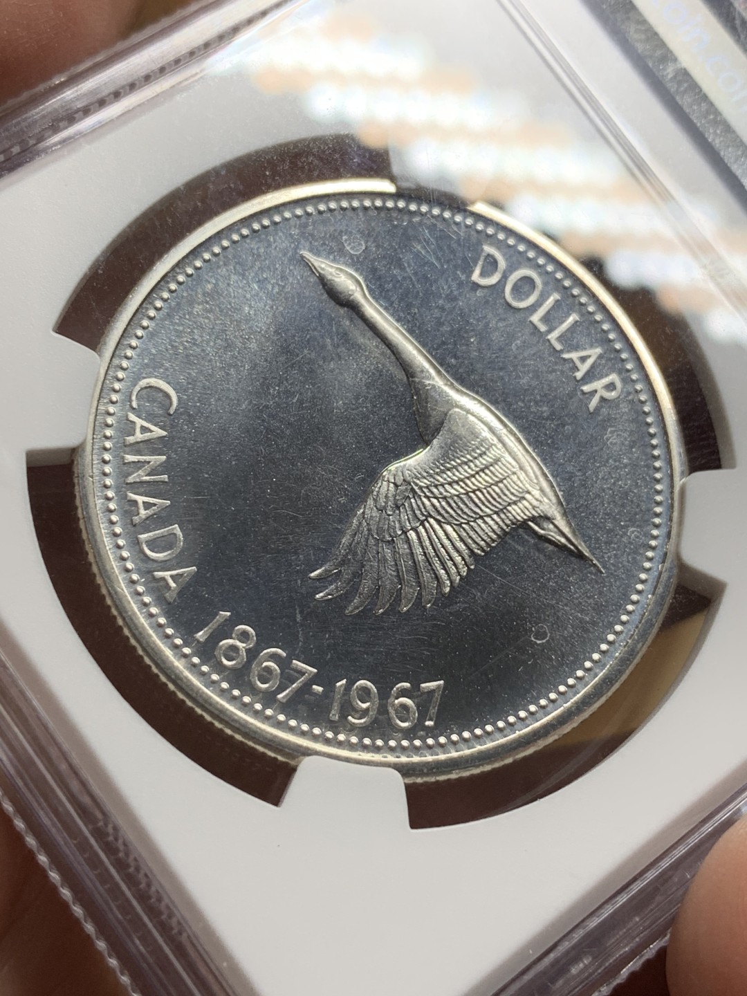 《竞宝斋》第98场-本周日，周一2场连拍（全场不限金额包邮） NGC-PL66 CAMEO 加拿大 1967年   百年 1元纪念币 转光强烈 非常漂亮 这头像可以说是女王颜值最高的头像了 值得收藏