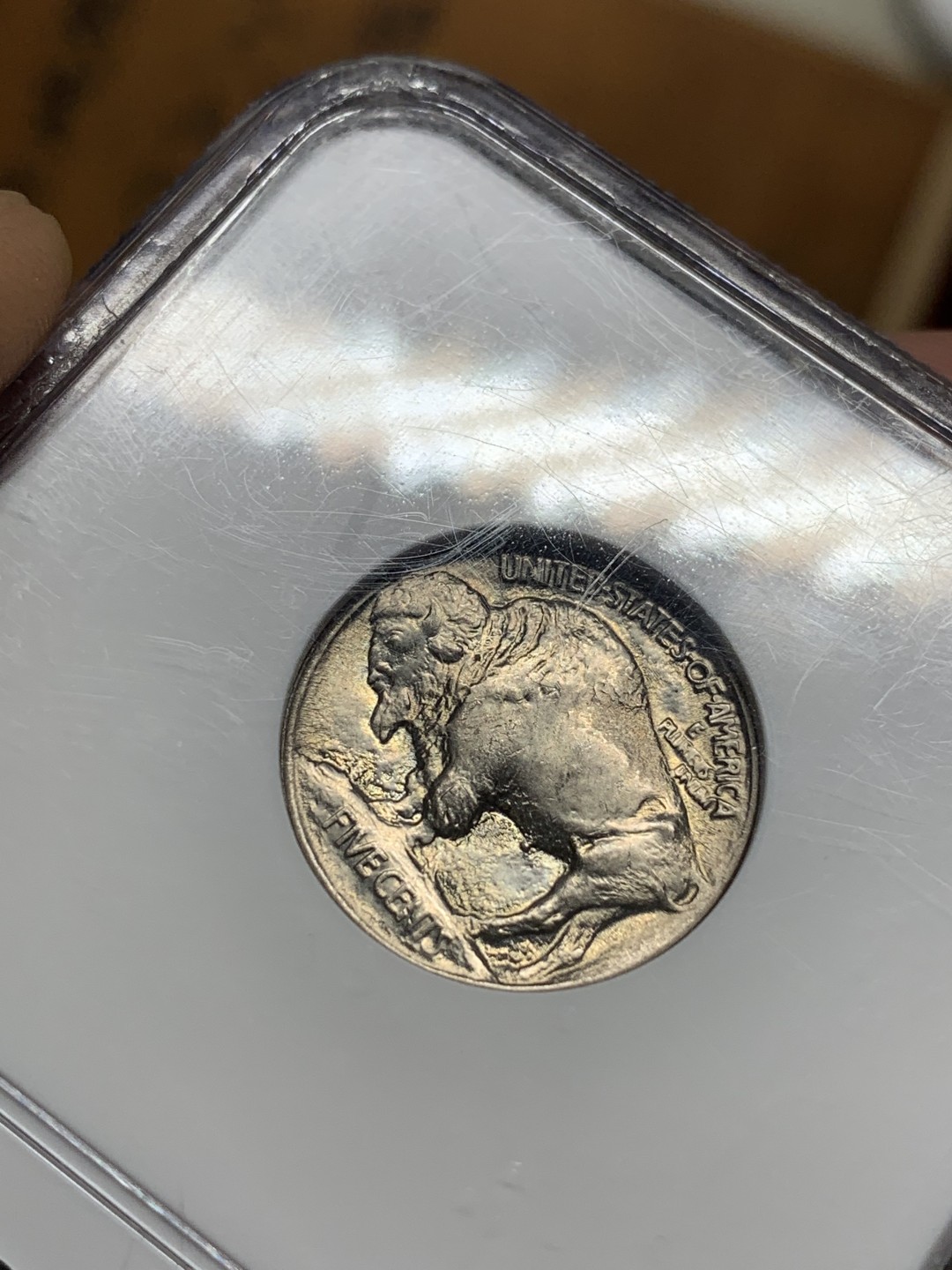 《竞宝斋》第98场-本周日，周一2场连拍（全场不限金额包邮） NGC MS66 美国 1913年 早期年份 印第安 牦牛 5美分