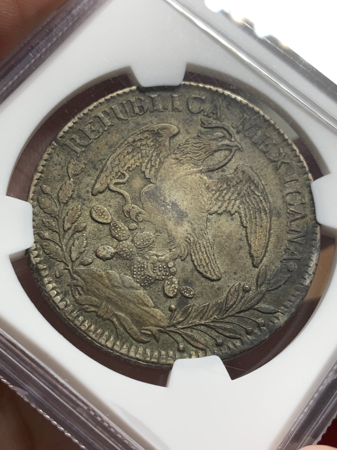 《竞宝斋》第98场-本周日，周一2场连拍（全场不限金额包邮） NGC XF45 早期1835ZS OM较少年份全深打很难得！西属和拉丁美洲潜力无限！