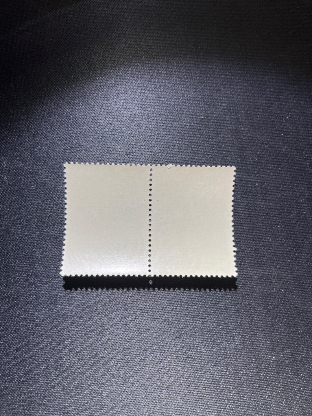 洪涛臻品 精选邮票限时拍卖第三十八期 纪92古科  8-4 盖销  2连，中间戳，完美品相。版撕全品嘎嘎绝 。解放初的经典票，整版撕开，面艳胶白，票挺洁净，齿孔完美。老纪特的版票资源十分稀缺难寻，机会来临时必须抓住，存货有限，售完即撤