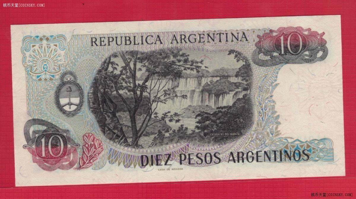 阿根廷1983年至1984年10比索 P-313 A冠 注意签名 美洲纸币 实物图 UNC