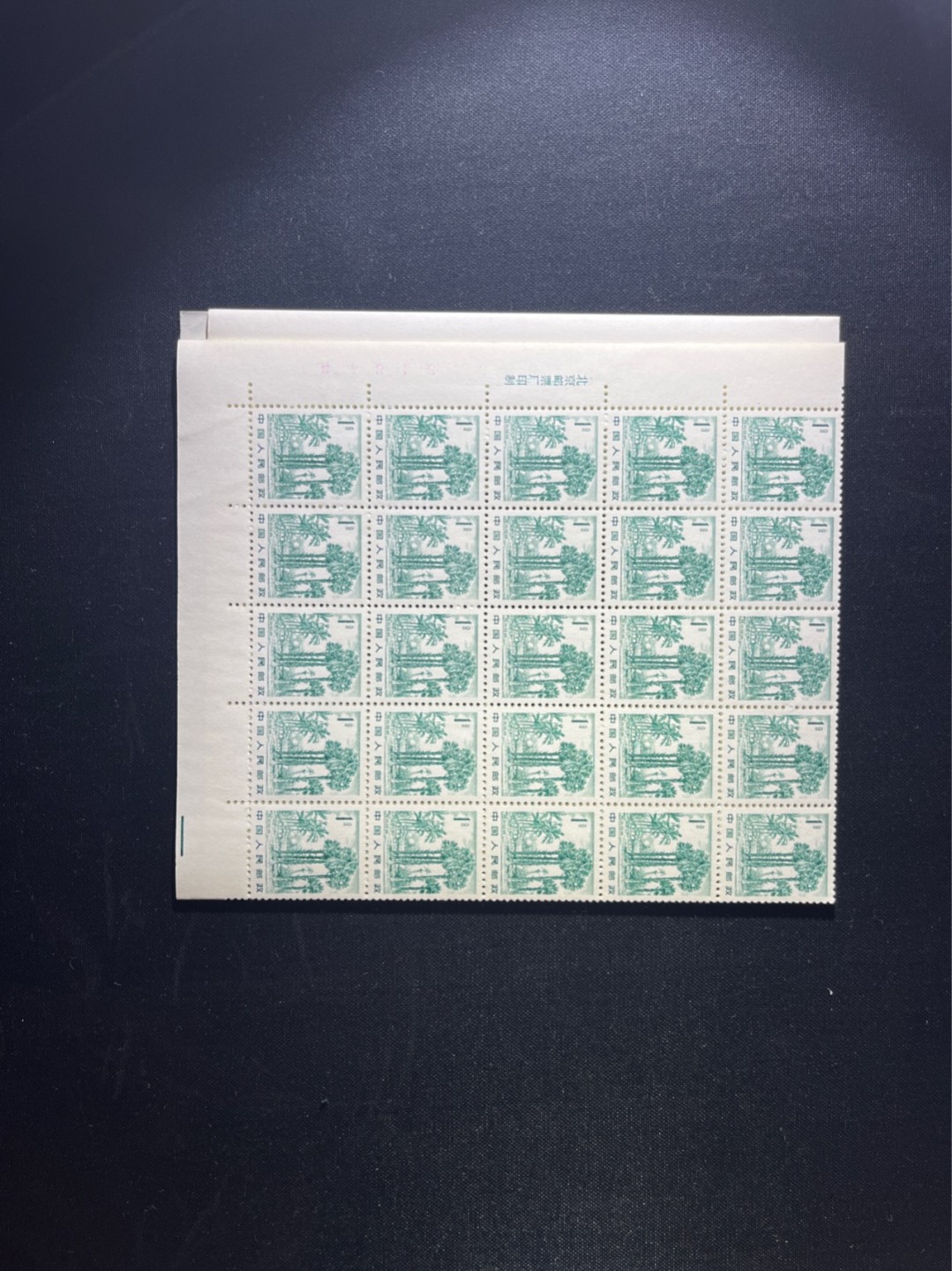 洪涛臻品 精选邮票限时拍卖第三十七期 普21  雕刻版西双版纳，整版100枚，版号，厂铭x4，色线齐全，折版，全品，左上角1枚软折，其余无瑕疵