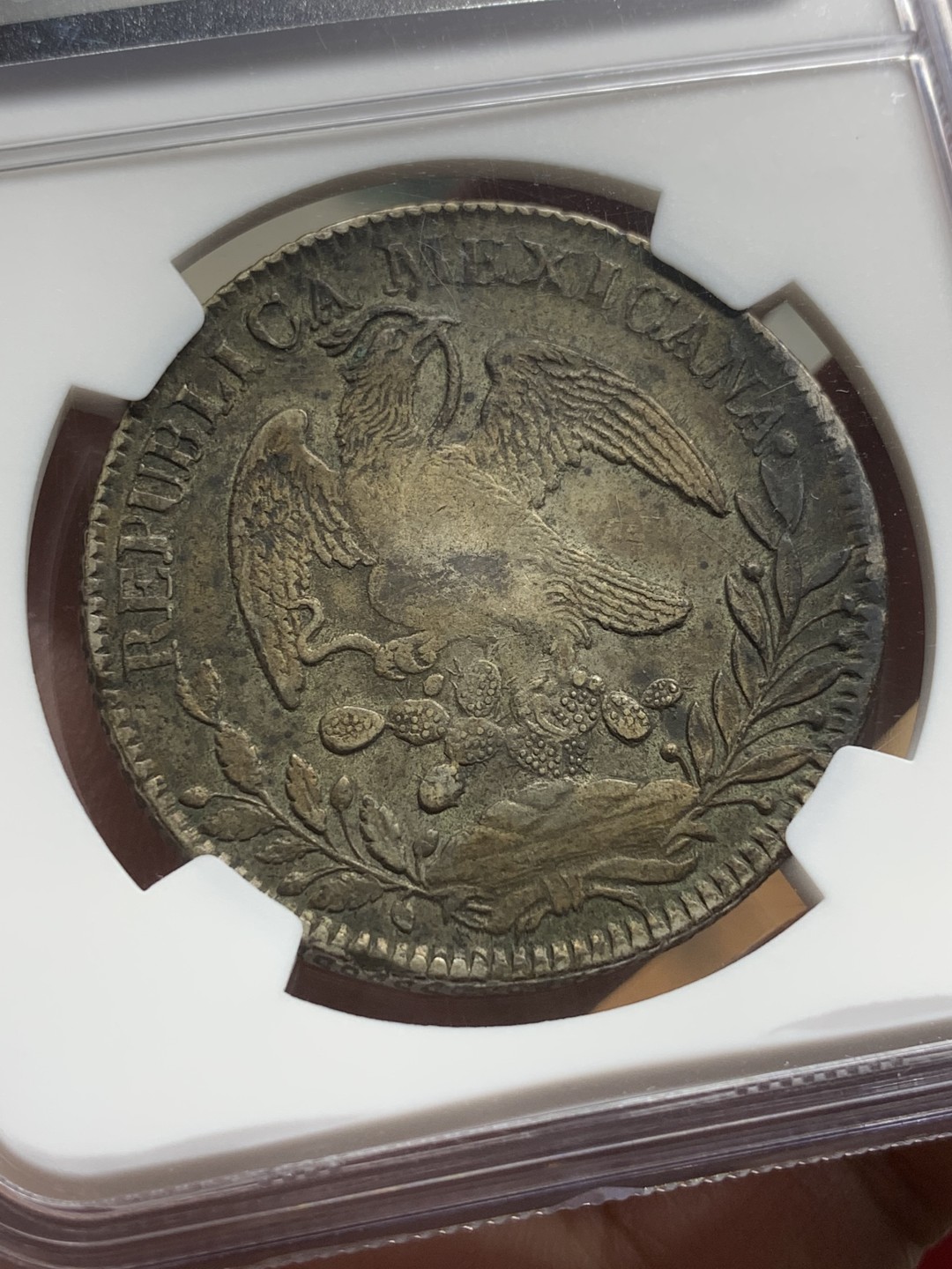 《竞宝斋》第98场-本周日，周一2场连拍（全场不限金额包邮） NGC XF45 早期1835ZS OM较少年份全深打很难得！西属和拉丁美洲潜力无限！