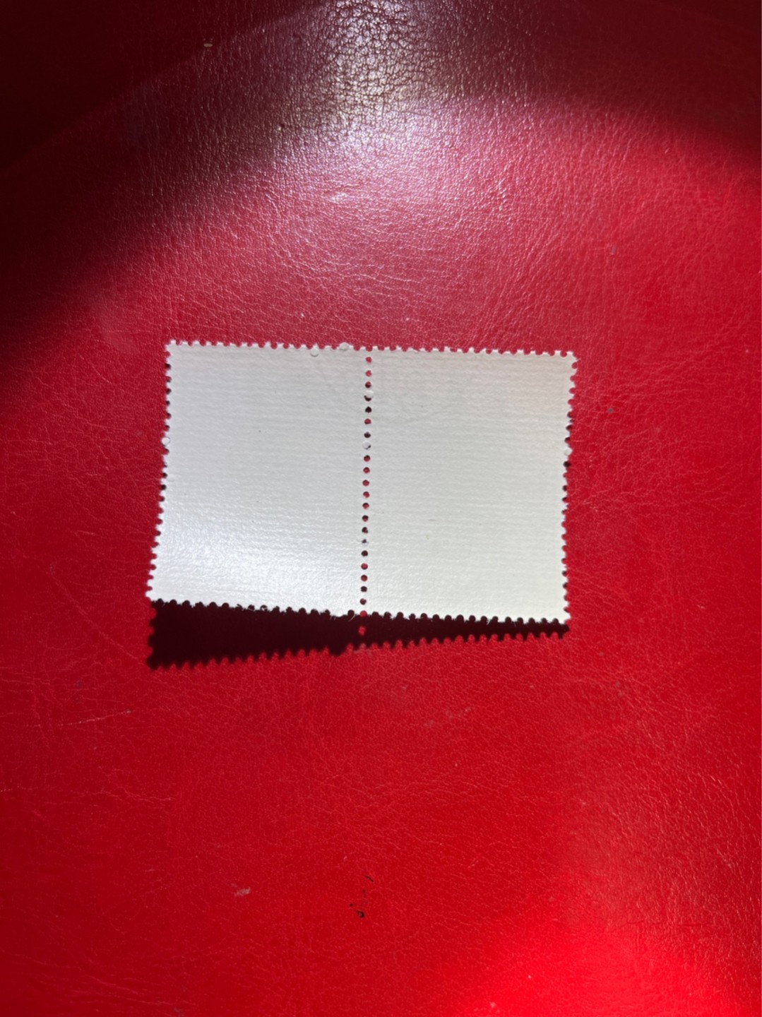 洪涛臻品 精选邮票限时拍卖第四十一期 特63青铜器8-4盖销  2连✦下中间戳，随时售缺✦版撕全品嘎嘎绝。  解放初的经典票，整版撕开，面艳胶白，票挺洁净，齿孔完美，收藏评级两相宜，且有高附加值边纸。老纪特的版票资源十分稀缺难寻，机会来临时必须抓住。