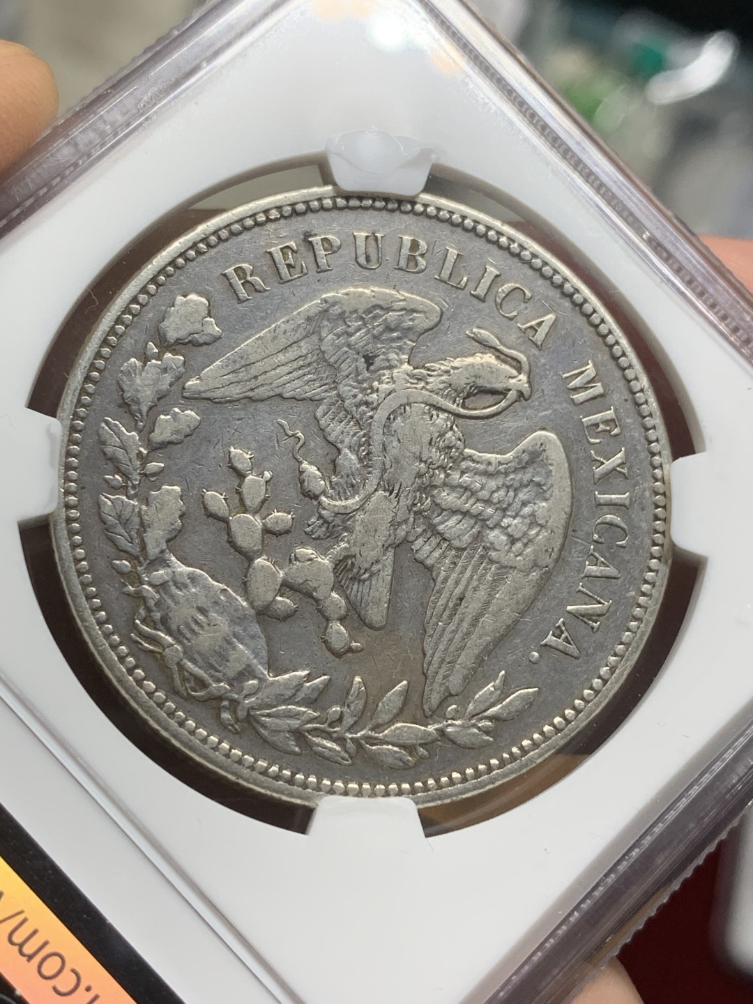 《竞宝斋》第98场-本周日，周一2场连拍（全场不限金额包邮） NGC XF  墨西哥1909年 直边鹰洋 银币 原味流通品