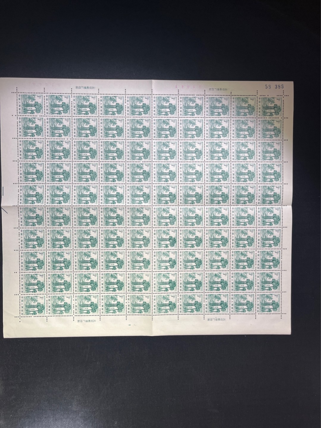 洪涛臻品 精选邮票限时拍卖第三十七期 普21  雕刻版西双版纳，整版100枚，版号，厂铭x4，色线齐全，折版，全品，左上角1枚软折，其余无瑕疵