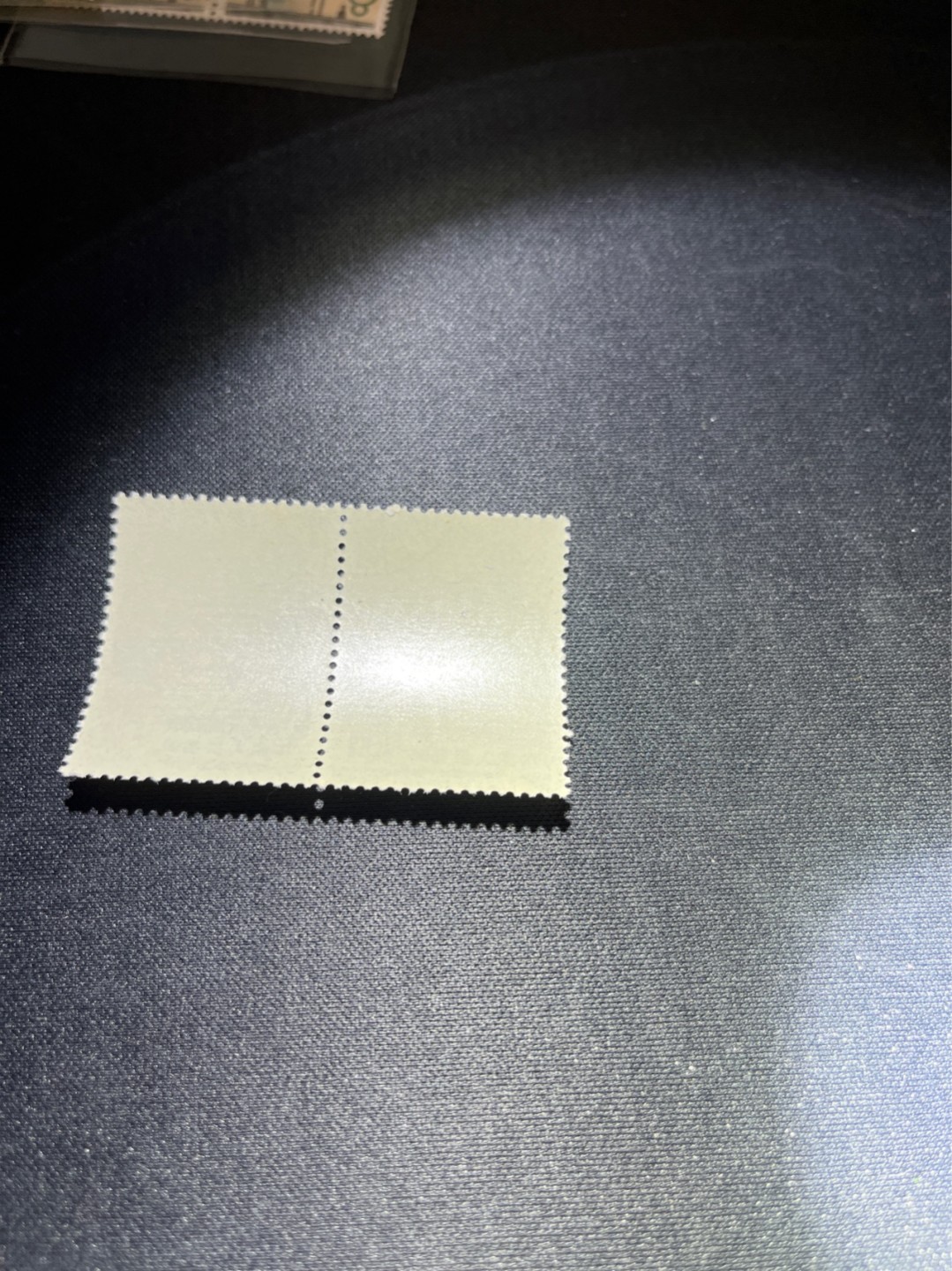洪涛臻品 精选邮票限时拍卖第三十八期 纪92古科  8-4 盖销  2连，中间戳，完美品相。版撕全品嘎嘎绝 。解放初的经典票，整版撕开，面艳胶白，票挺洁净，齿孔完美。老纪特的版票资源十分稀缺难寻，机会来临时必须抓住，存货有限，售完即撤