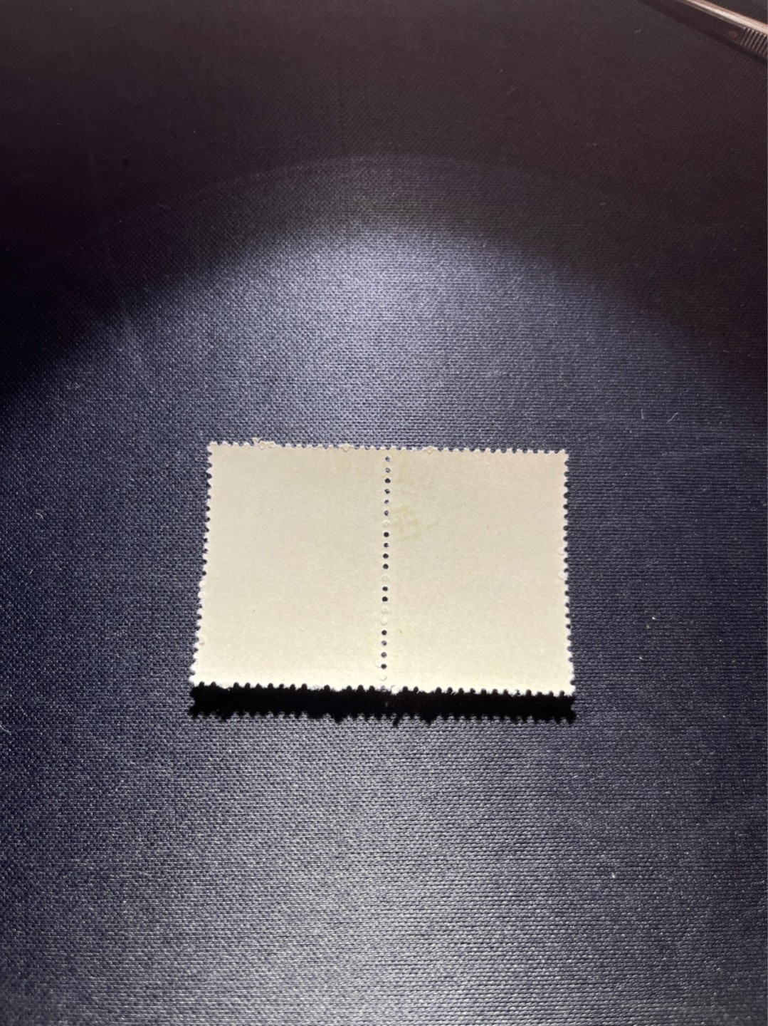 洪涛臻品 精选邮票限时拍卖第三十八期 纪92古科  8-3 盖销  2连  中间戳，完美品相，版撕全品嘎嘎绝。解放初的经典票，整版撕开，面艳胶白，票挺洁净，齿孔完美，收藏评级两相宜。老纪特的版票资源十分稀缺难寻，机会来临时必须抓住。