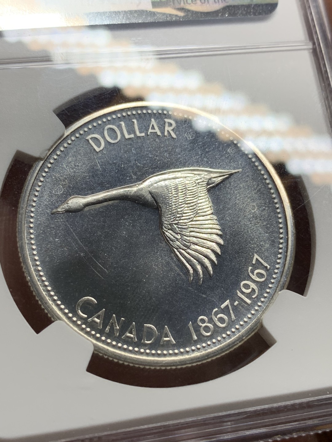 《竞宝斋》第98场-本周日，周一2场连拍（全场不限金额包邮） NGC-PL66 CAMEO 加拿大 1967年   百年 1元纪念币 转光强烈 非常漂亮 这头像可以说是女王颜值最高的头像了 值得收藏