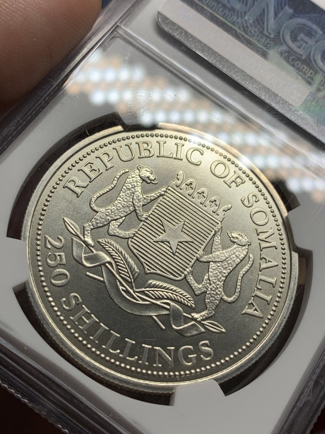 《竞宝斋》第98场-本周日，周一2场连拍（全场不限金额包邮） NGC MS66 索马里 2002年示巴女王大银币，稀见！强光好品，35周年标签