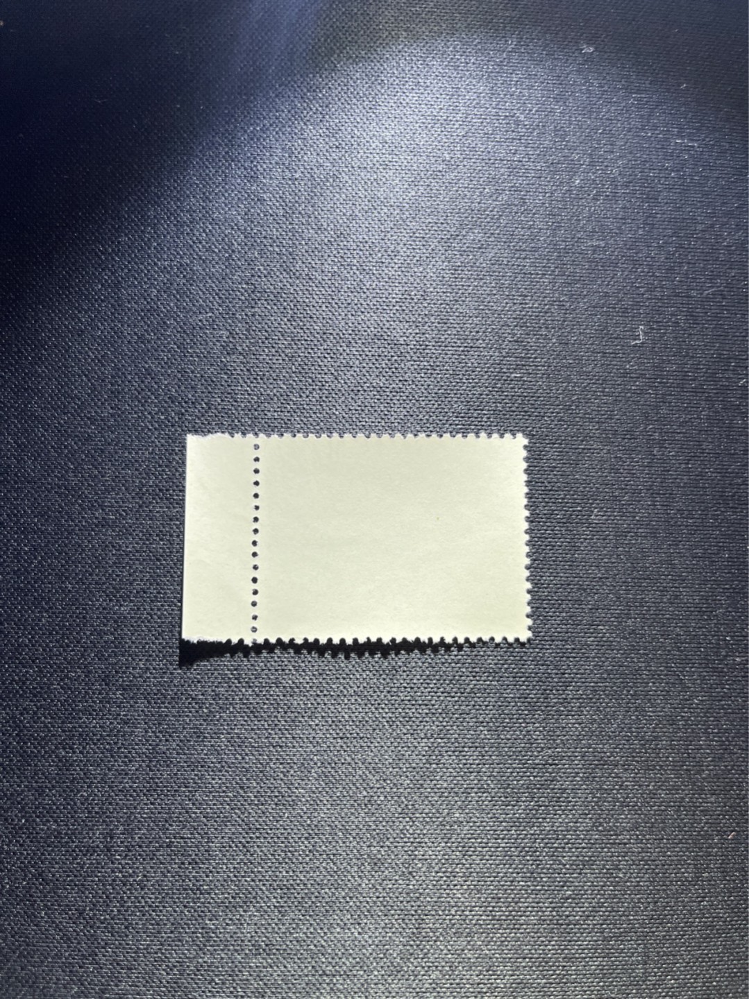 洪涛臻品 精选邮票限时拍卖第三十九期 热门品种，特73井冈山  盖销  8-4 ，厂名1枚，经典热门票，三俗稀缺，版撕全品嘎嘎绝，撕口新，适合收藏，喜欢不要错过，全品可评级