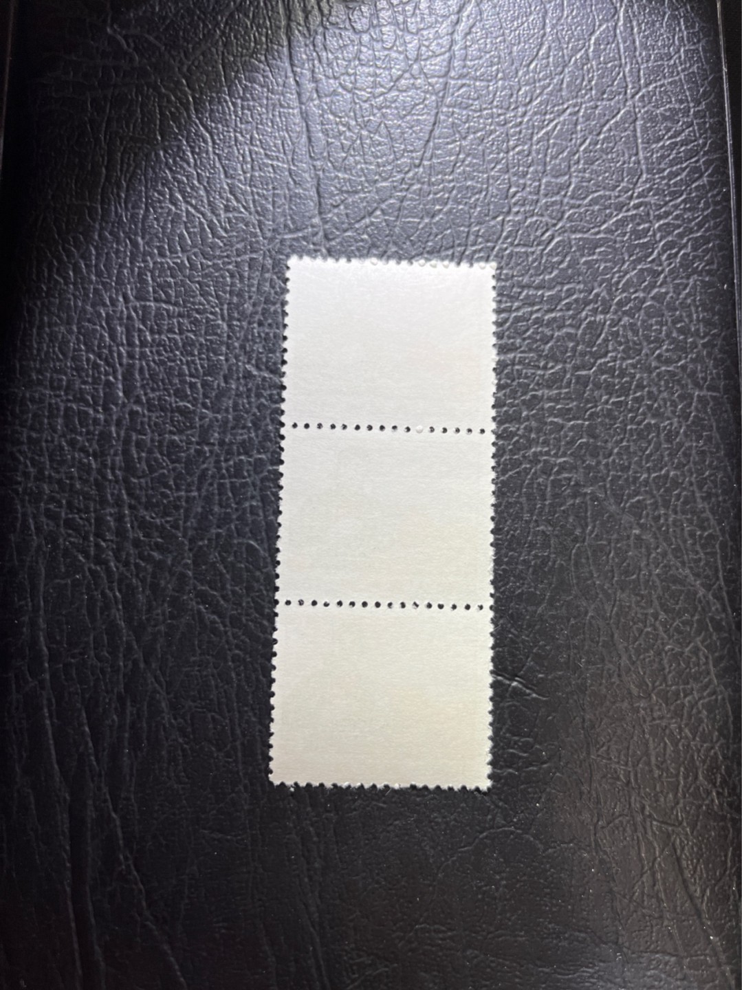 洪涛臻品 精选邮票限时拍卖第三十九期 普无号  10分解放军，3枚一组，版撕嘎嘎绝，文革期间发行的唯一一套普票，非常有特点，集邮册中不可缺少的一组，文革票人气足，潜力大，目前处于价值洼地，版撕全品可直接评级，ASG评级资源储备，注意捡漏