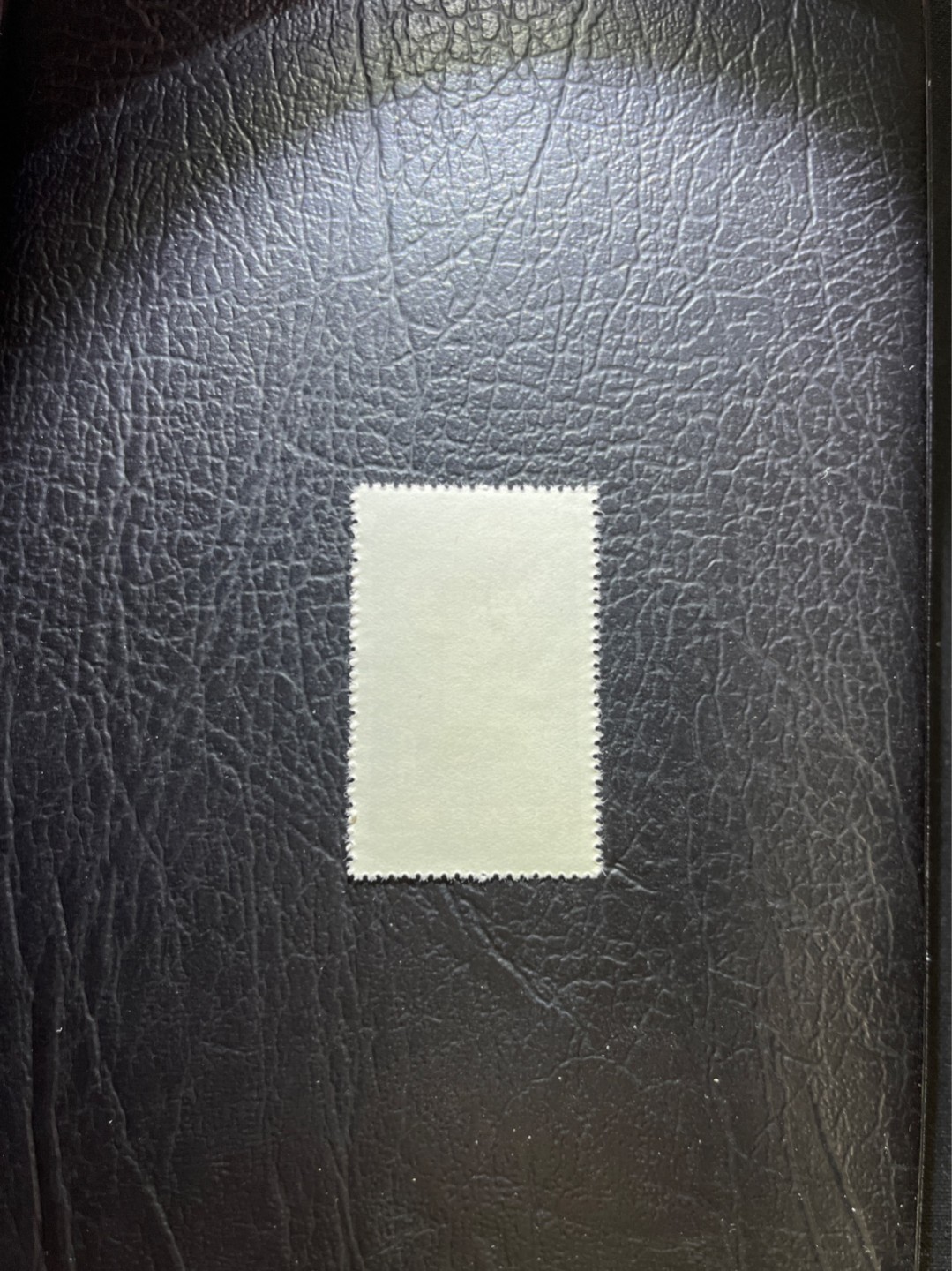 洪涛臻品 精选邮票限时拍卖第三十九期 特54儿童 盖销 12-4   一 枚，版撕全品嘎嘎绝， 面艳背白，生口，非常漂亮，热门票，草纸小票折痕多，全品数量有限，注意捡漏