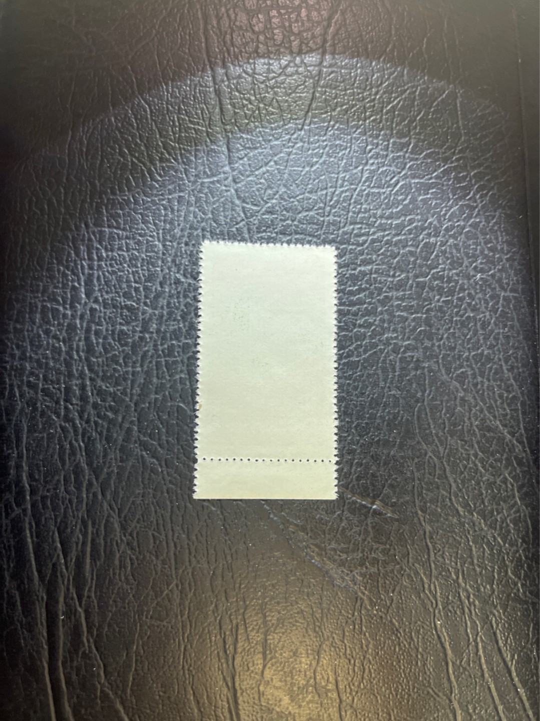 洪涛臻品 精选邮票限时拍卖第三十九期 特54儿童 盖销 12-5   一 枚，版撕全品嘎嘎绝， 面艳背白，生口，非常漂亮，热门票，草纸小票折痕多，全品数量有限，注意捡漏