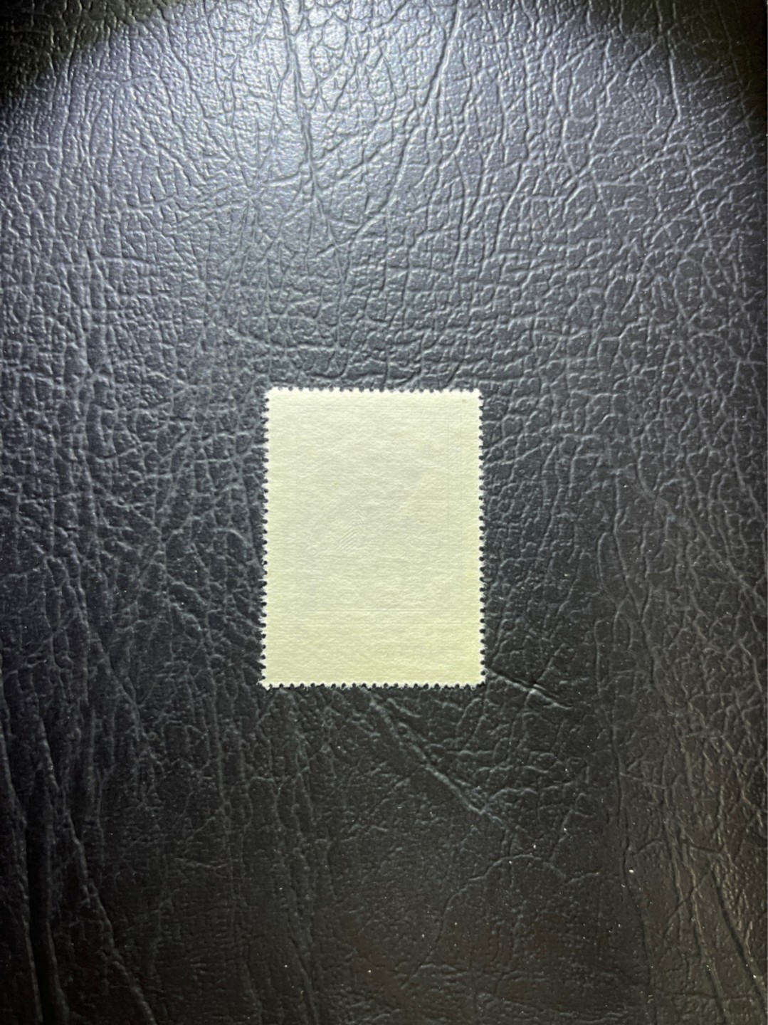 洪涛臻品 精选邮票限时拍卖第三十九期 纪26列宁新 总筋3-2  1枚  版撕全品嘎嘎绝✦绝品✦收藏级品相★总筋一枚几乎等于一套票★老纪特经典票，ASG90分一套价格1500元左右，博分首选，收藏或评级必须选版撕票，注意捡漏