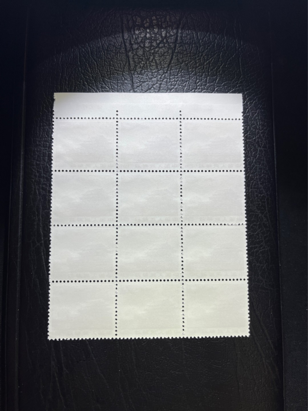 洪涛臻品 精选邮票限时拍卖第四十三期 普无号  8分天安门红太阳，厂名，数字，12方连，收藏级品相一组，三俗稀缺，版撕嘎嘎绝，大块更漂亮，正红背白，集邮册中必不可少的一组，版撕精品小票，多多益善，价值洼地，全品可评级，所有拍品包过灯，注意捡漏