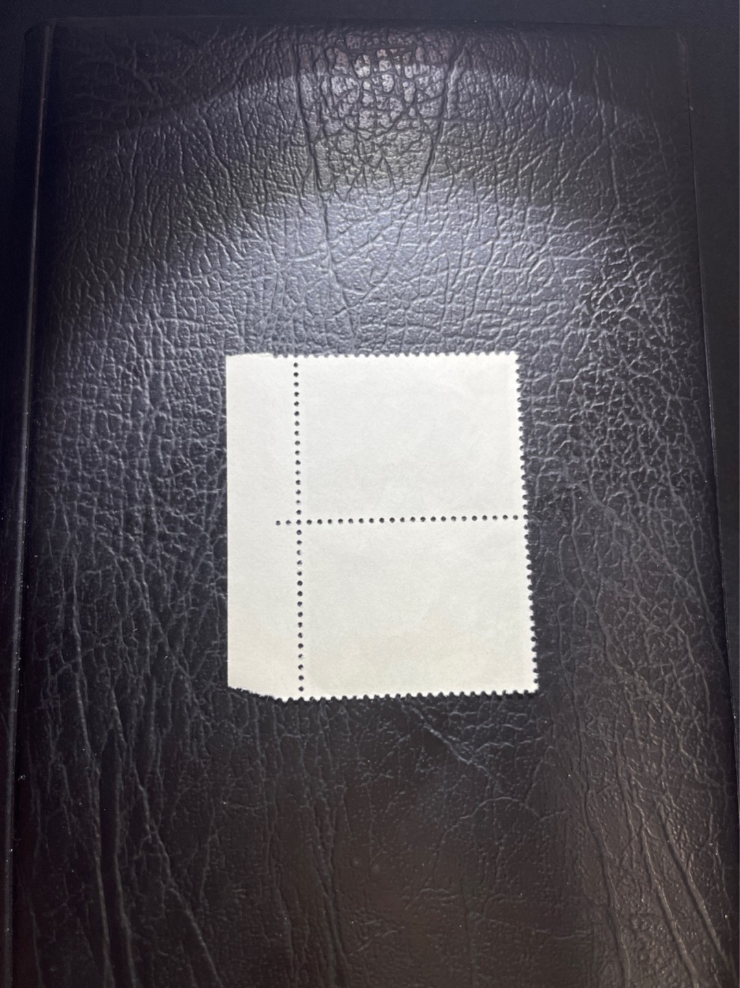 洪涛臻品 精选邮票限时拍卖第四十期 文17  10分  厂名 竖2连一组，全品，三俗稀缺，喜欢不要错过，全品可评级。！《ASG评级处于初级阶段，注意建仓便宜的版撕货，未来市场前景不可估量！！！！》