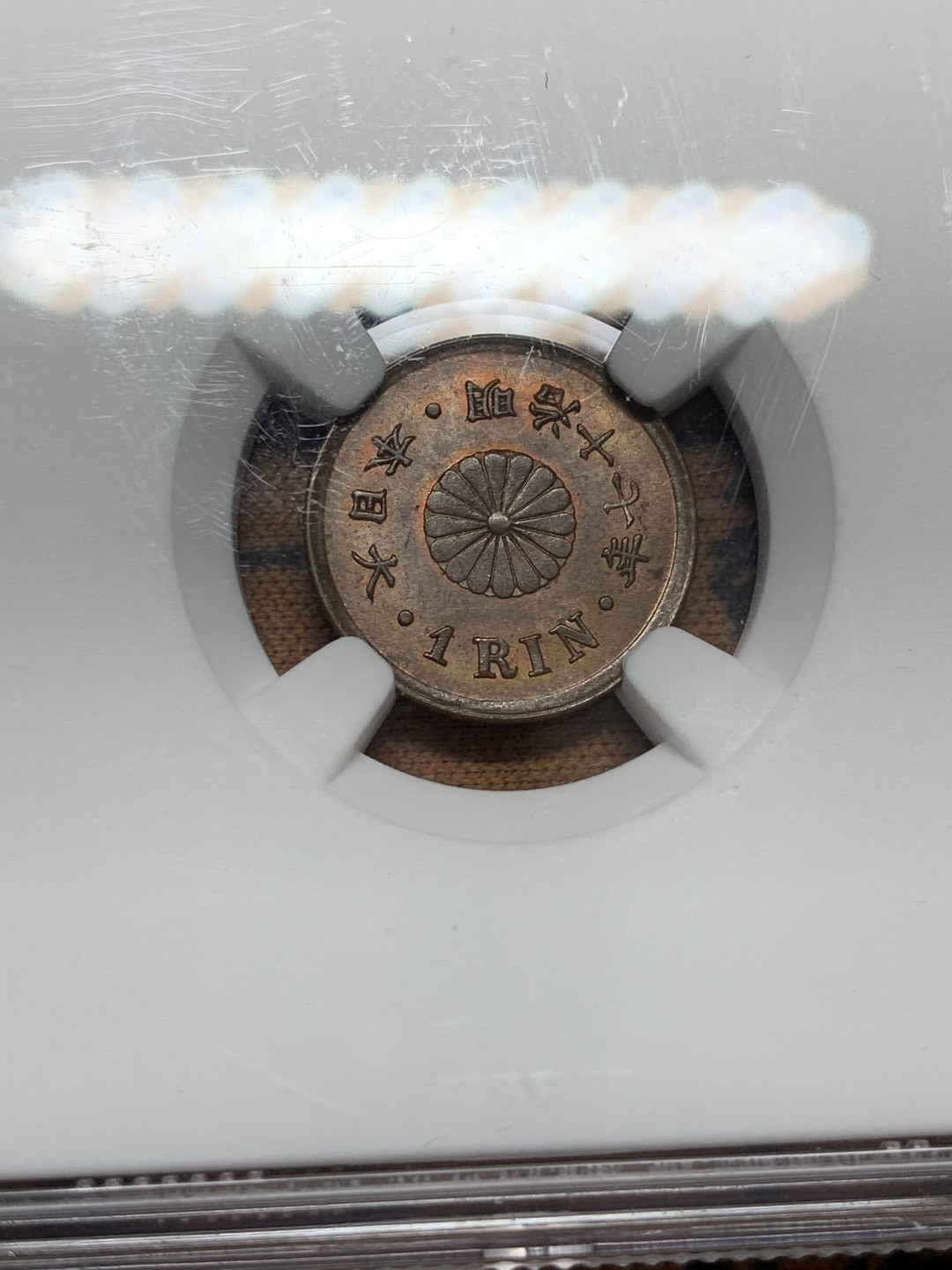 《竞宝斋》第99场-本周日，周一2场连拍（全场不限金额包邮）