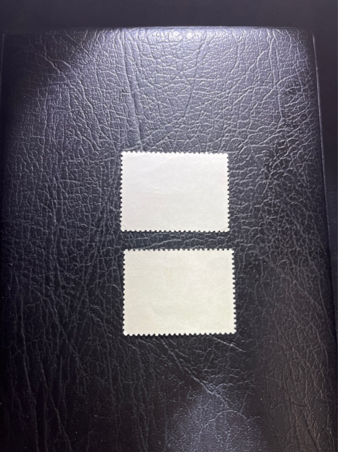 洪涛臻品 精选邮票限时拍卖第四十期 文17  4分 10分  各一枚，上品，小软折，会处理的分分钟复原，注意捡漏！！》