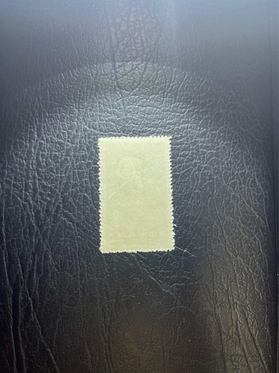 洪涛臻品 精选邮票限时拍卖第四十二期 特54儿童 盖销 12-3   一 枚，版撕全品嘎嘎绝， 面艳背白，生口，非常漂亮，热门票，草纸小票折痕多，全品数量有限，注意捡漏