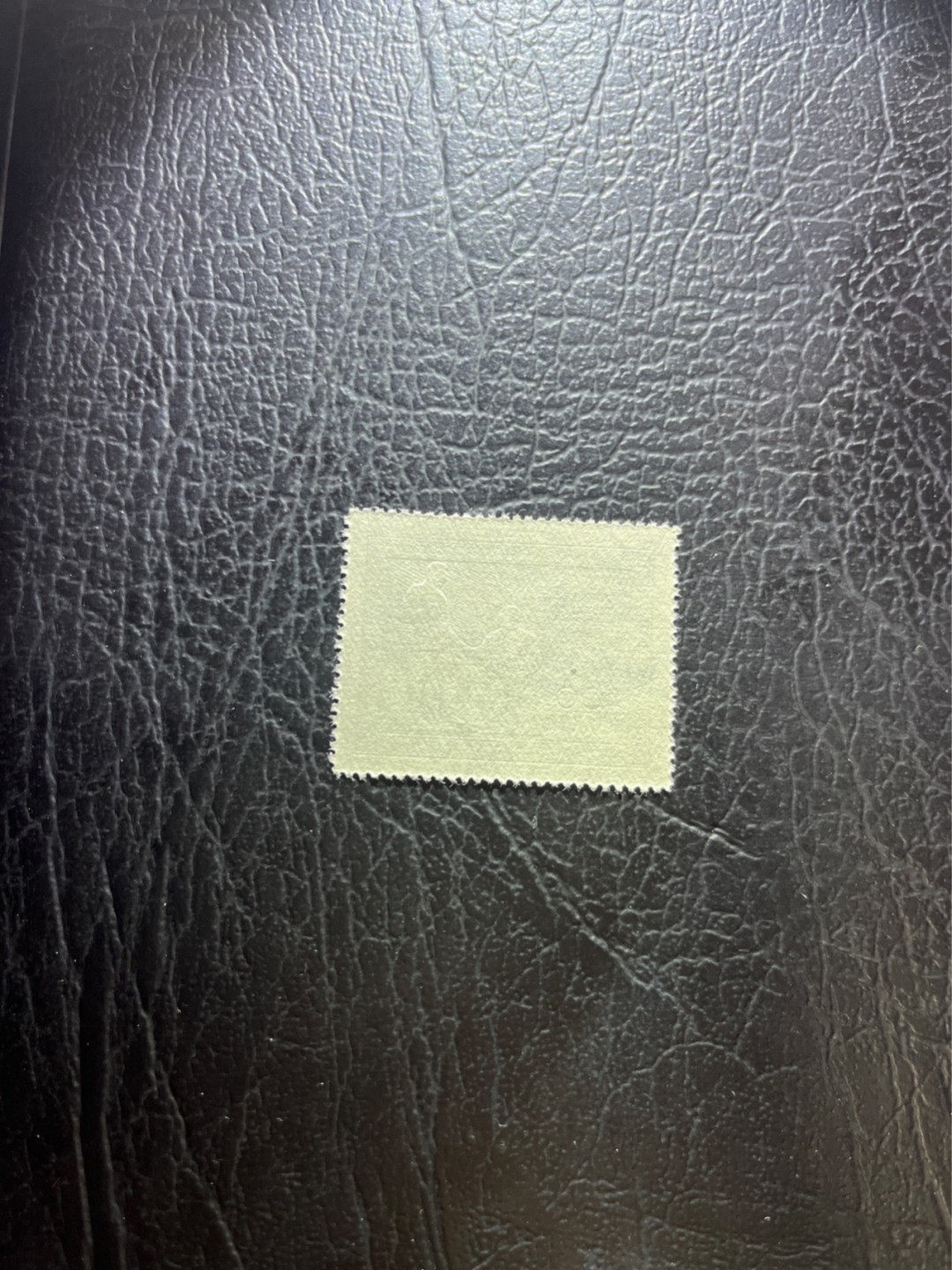 洪涛臻品 精选邮票限时拍卖第四十期 纪26列宁新 次筋3-3   版撕全品嘎嘎绝✦绝品✦收藏级品相★老纪特经典票，ASG90分一套价格1500元左右，博分首选，收藏或评级必须选版撕票，注意捡漏
