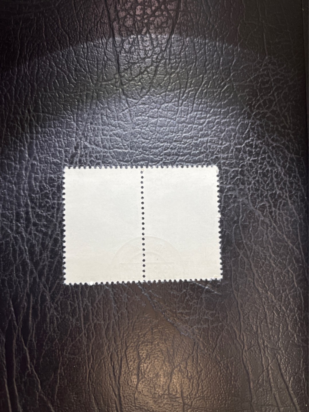 洪涛臻品 精选邮票限时拍卖第六十一期 特56蝴蝶盖销  20-10 全品 2连一组★中间全地名日期戳★版撕全品嘎嘎绝★中心全钢戳，非常漂亮，收藏首选★面艳胶白，六珍之一，非常受欢迎的品种，新票价格高，盖销全品不要错过 