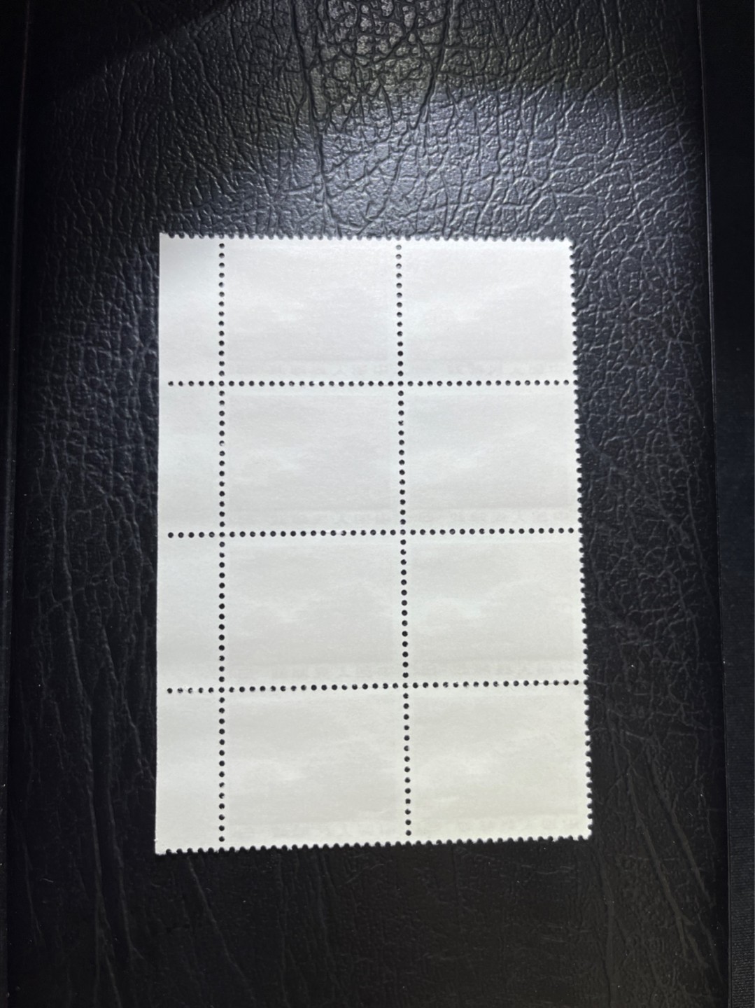 洪涛臻品 精选邮票限时拍卖第四十期 普无号  8分天安门红太阳，8方连，右边纸，收藏级品相一组，版撕嘎嘎绝，红色图案非常漂亮，正红背白，集邮册中必不可少的一组，版撕精品小票，多多益善，价值洼地，全品可评级，所有拍品包过灯，注意捡漏