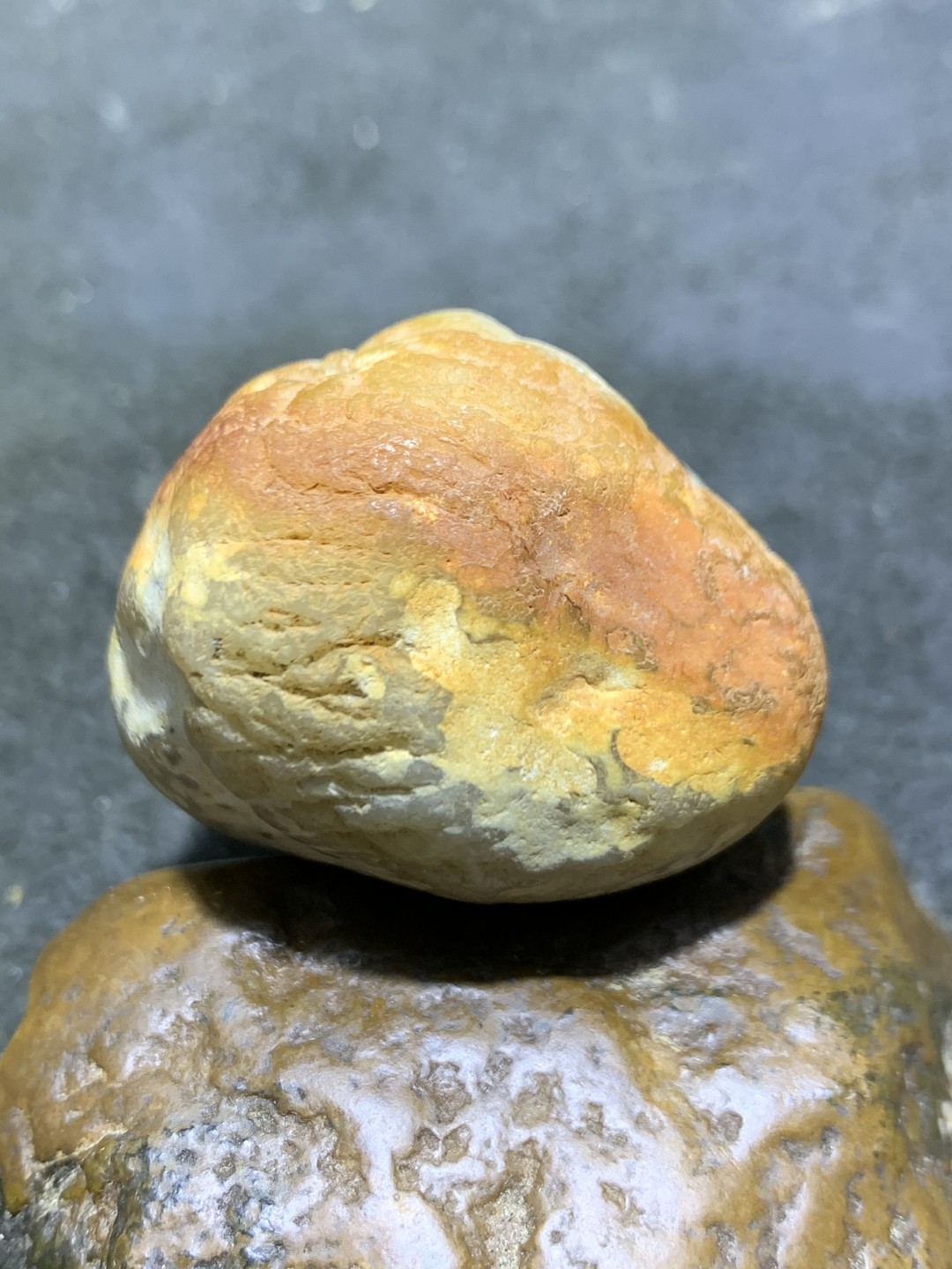 精美天然新疆哈密红皮高玉化蛋白玉原石一块，