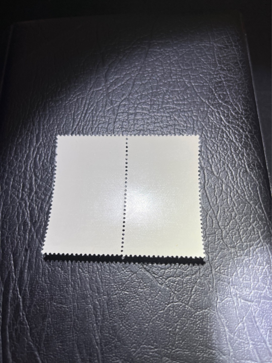 洪涛臻品 精选邮票限时拍卖第四十一期 特67石油 5-2盖销 2连，中间戳， 版撕全品嘎嘎绝，非常漂亮。解放初的经典票，整版撕开，面艳胶白，票挺洁净，齿孔完美，收藏评级两相宜。老纪特的版票资源十分稀缺难寻，机会来临时必须抓住。