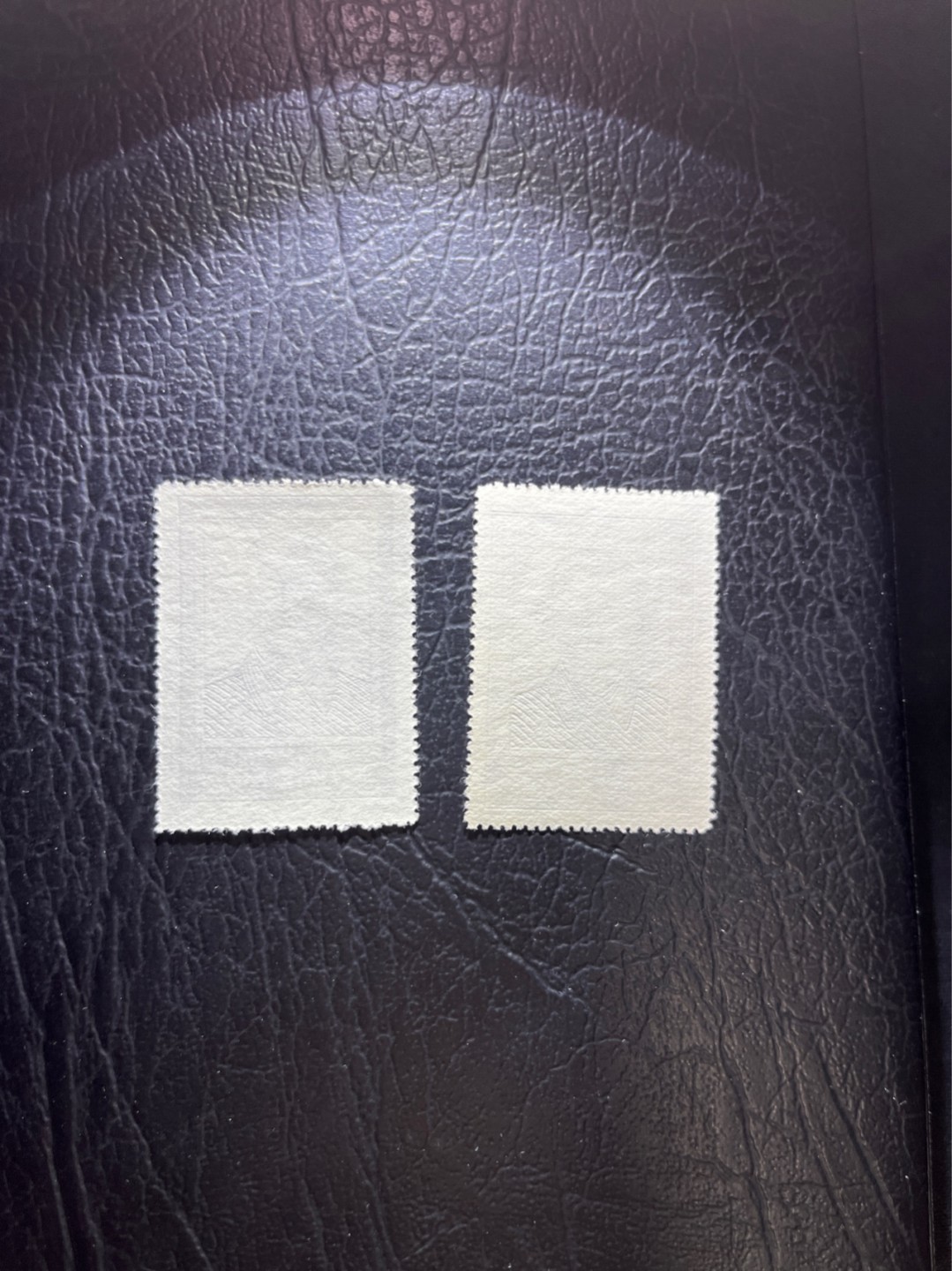 洪涛臻品 精选邮票限时拍卖第四十一期 纪27  斯大林 3-1新 2枚，版撕全品无瑕疵，注意捡漏，老纪特评级资源枯竭