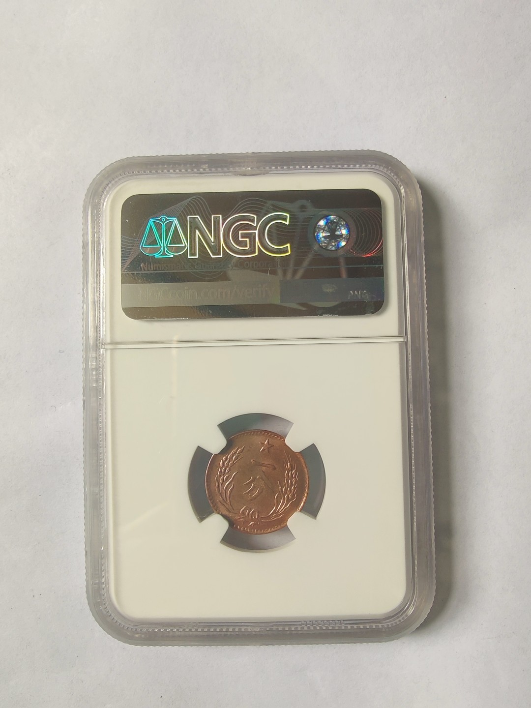 ♥一只鱼（世界钱币第一期） NGC MS64RB 后铸苏维埃一分